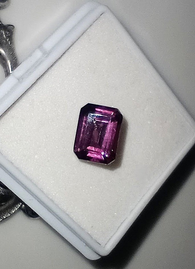 Raspberry+1.jpg
