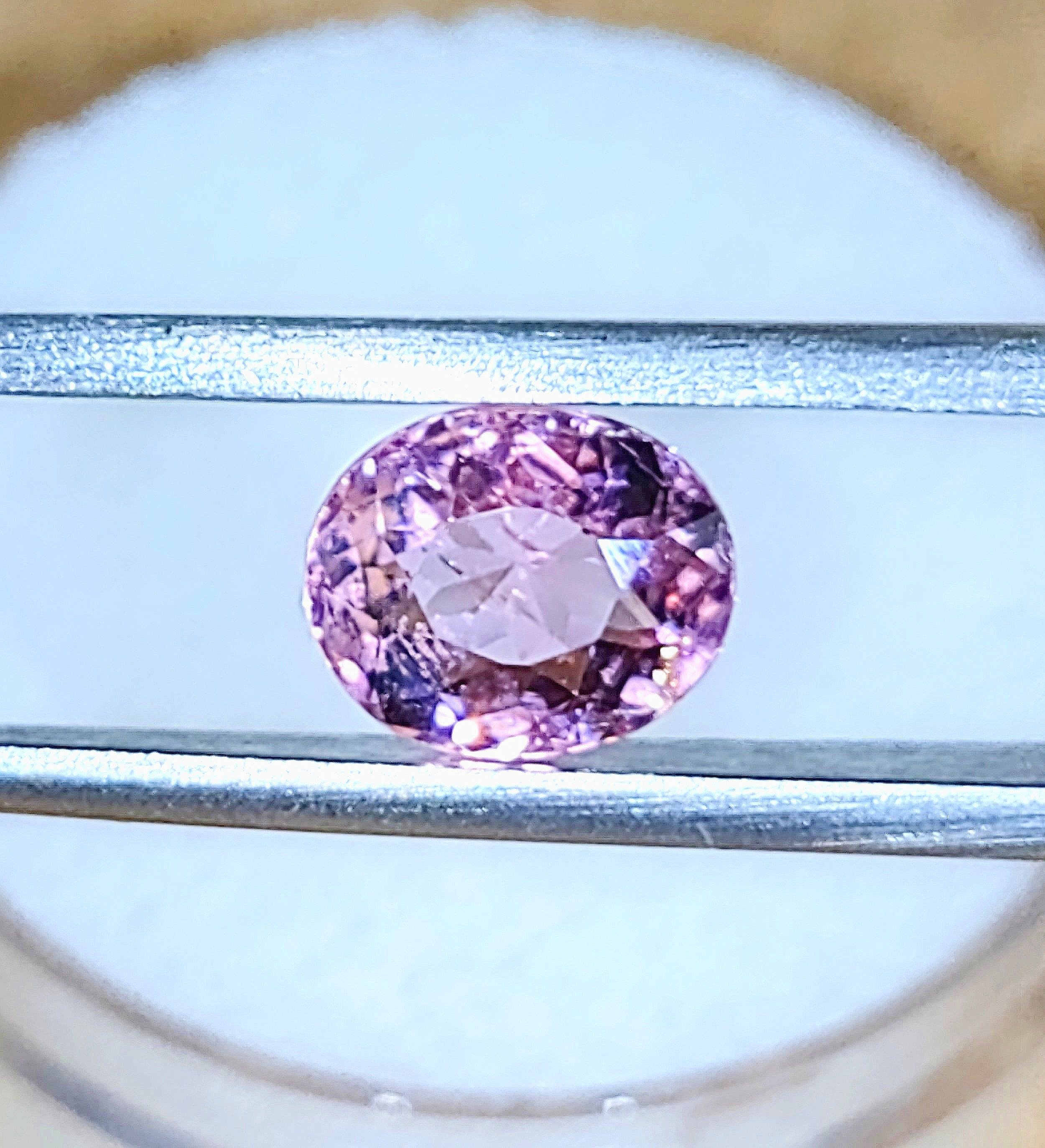Pink%252B1.20%252B2.jpg