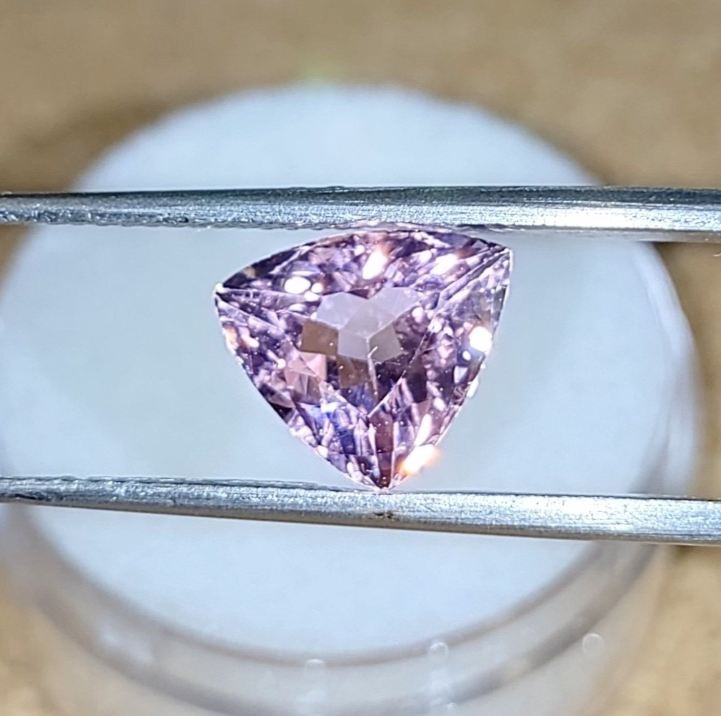 Pink%2525252B2.14%2525252B3.jpg