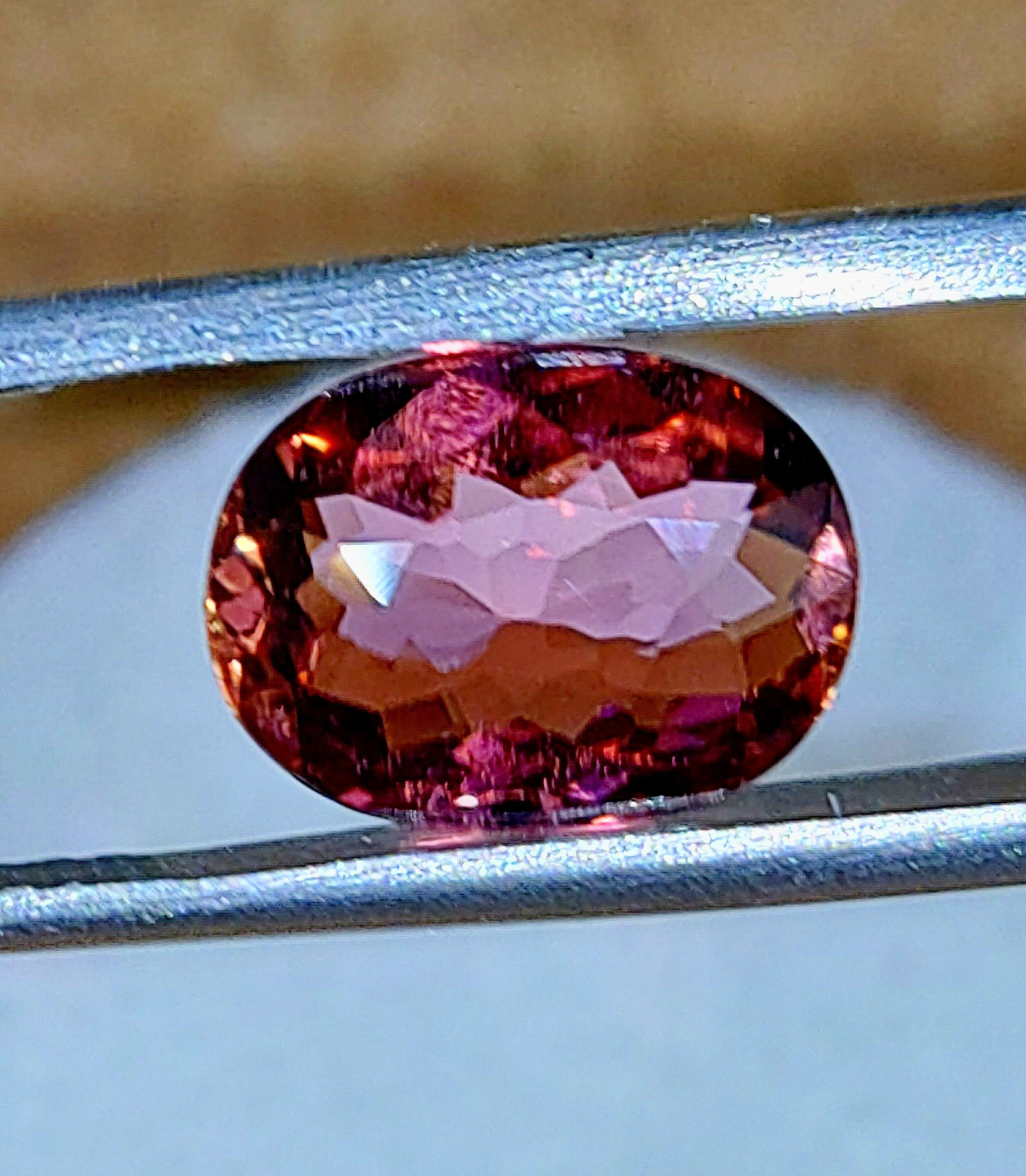 Hot%2BPink%2B1.74%2B3.jpg