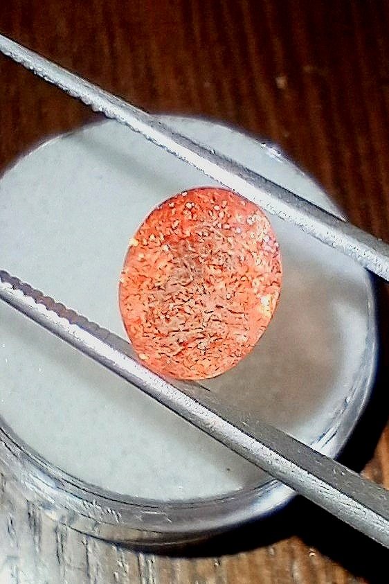 Tanz%252B%252B3.jpg