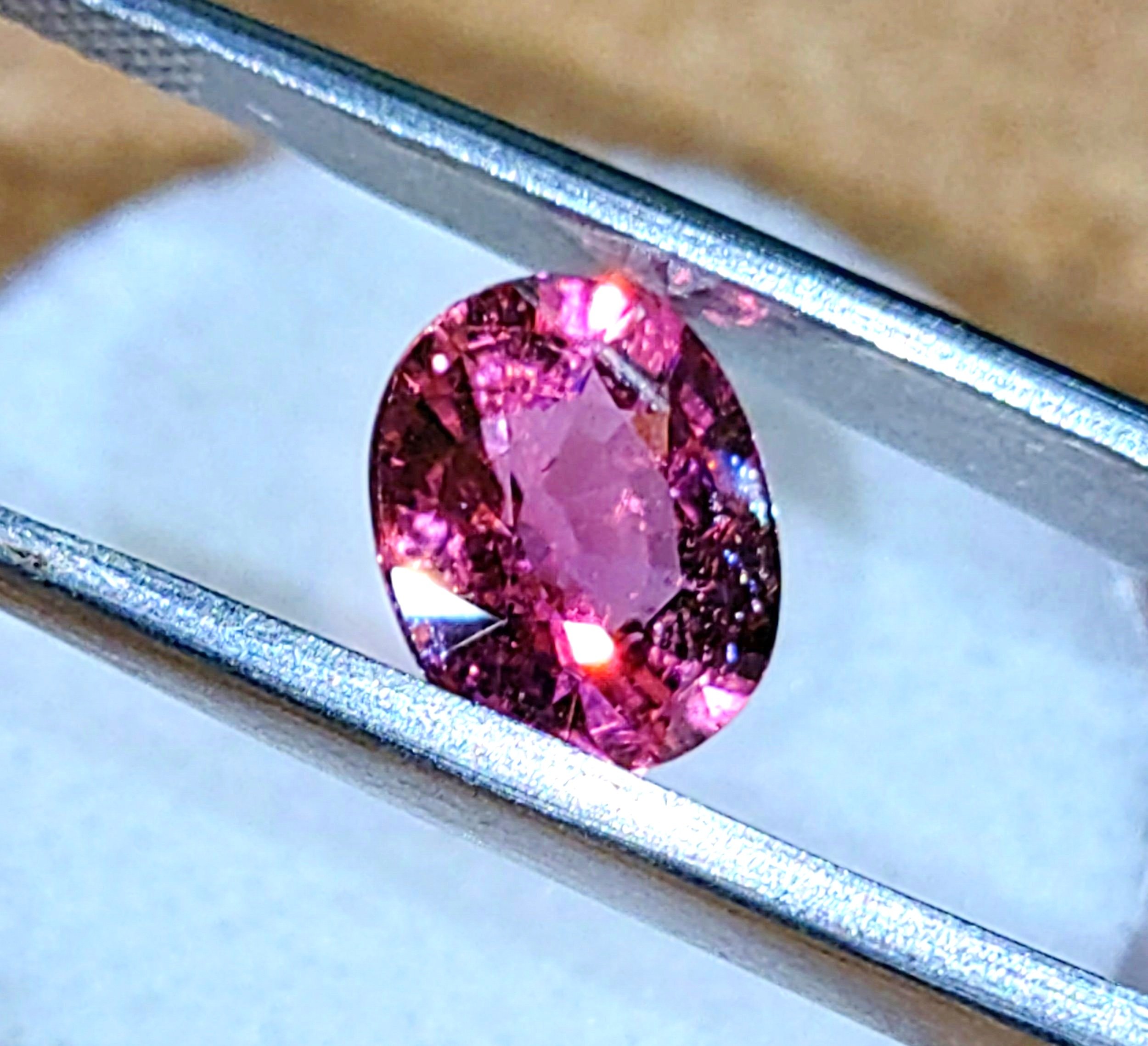 Hot%2BPink%2B1.90%2B5.jpg