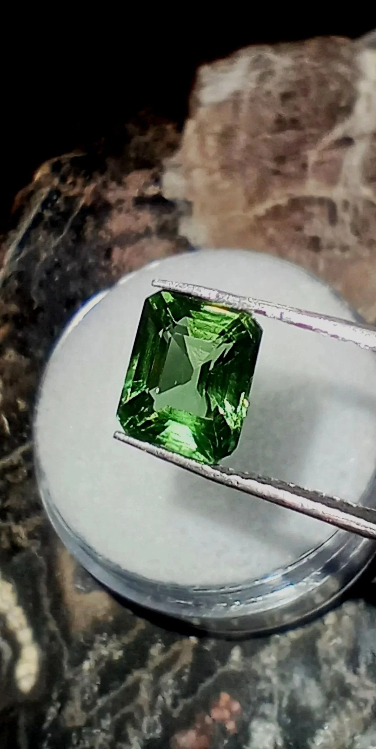 Genuine Unheated Green Apatite 1.93ct from TheCoveAtFoxHollow.com