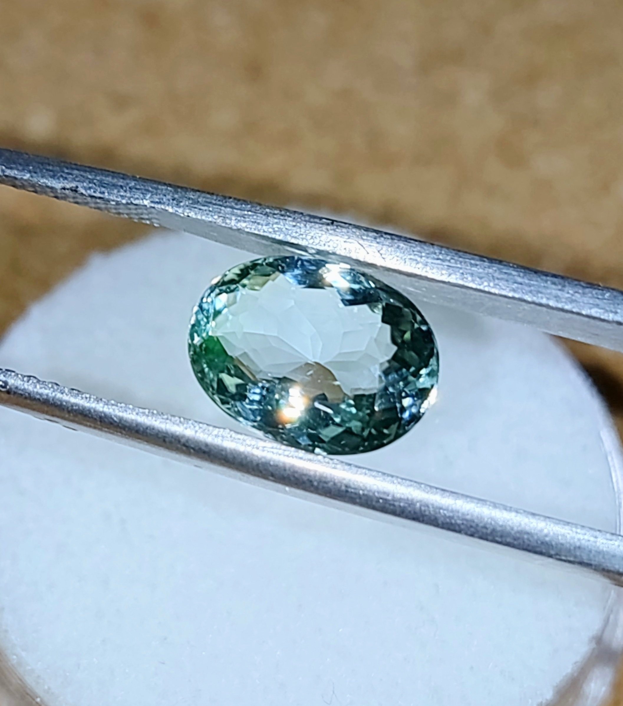Seafoam%2B1.75%2B4.jpg