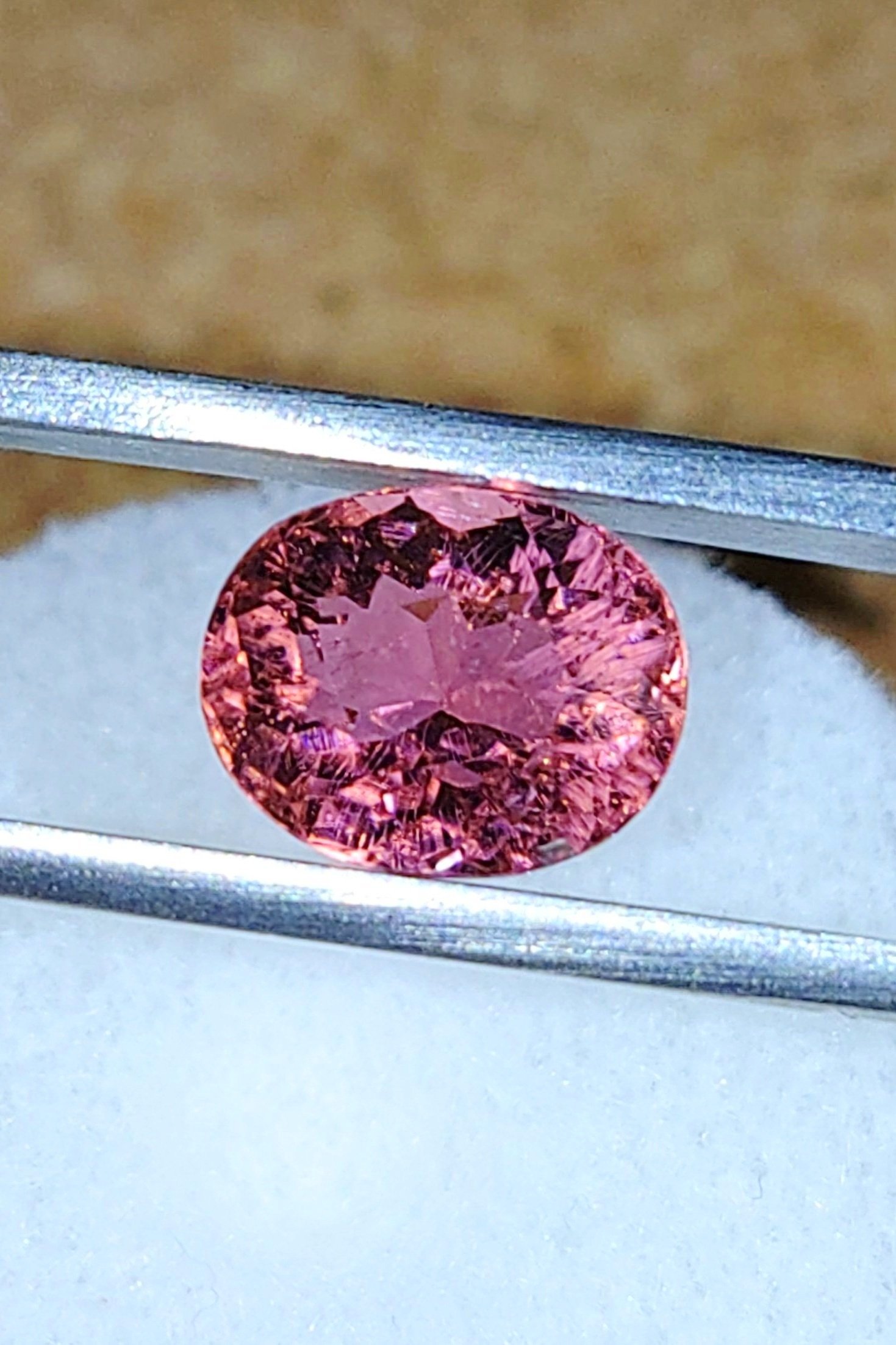 Hot%252BPink%252B2.58%252B1.jpg