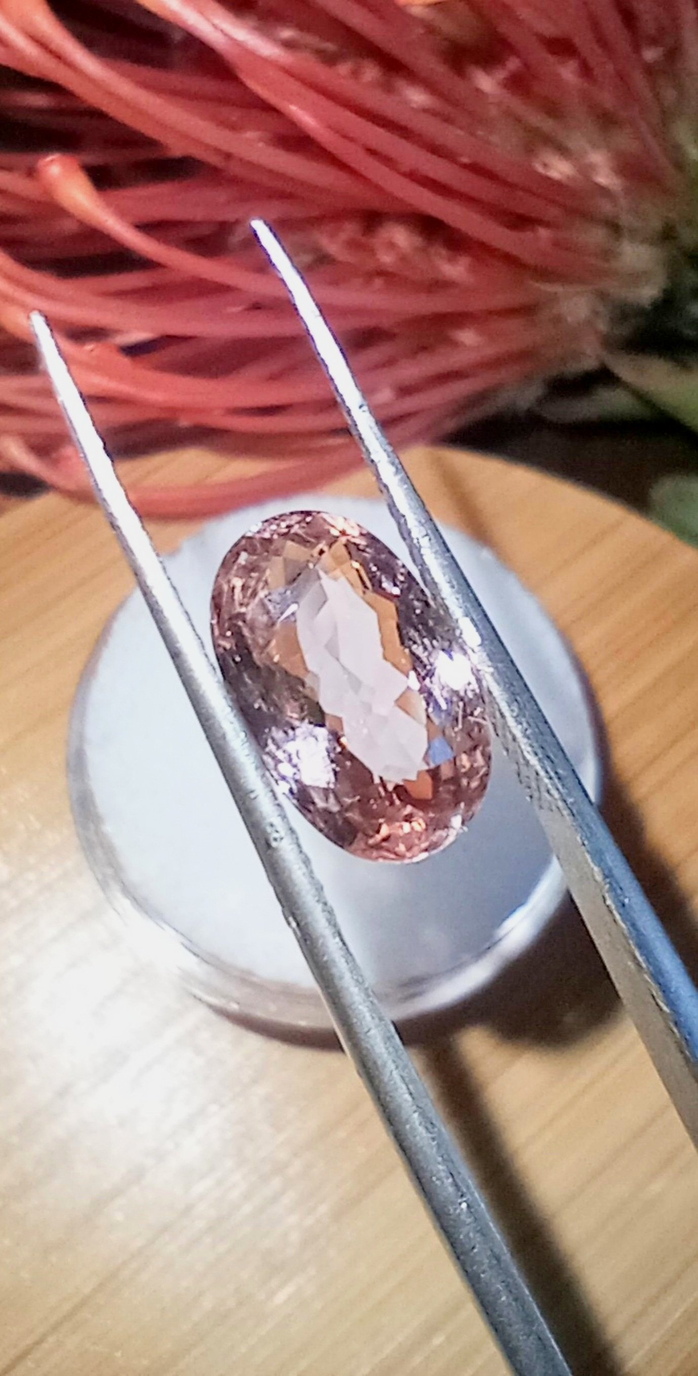 Genuine Orange Pink Padparadscha Tourmaline 3ct from thecoveatfoxhollow.com