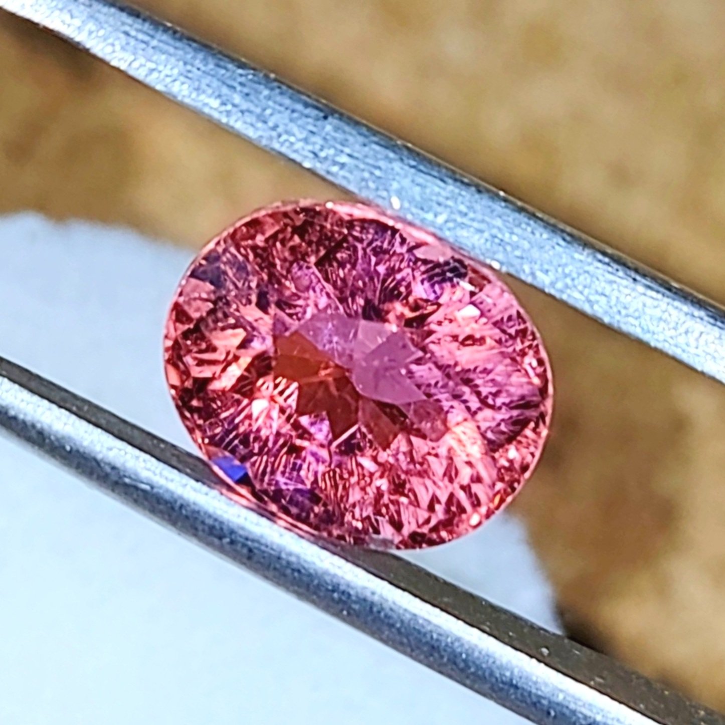 Hot%25252BPink%25252B2.58%25252B8.jpg