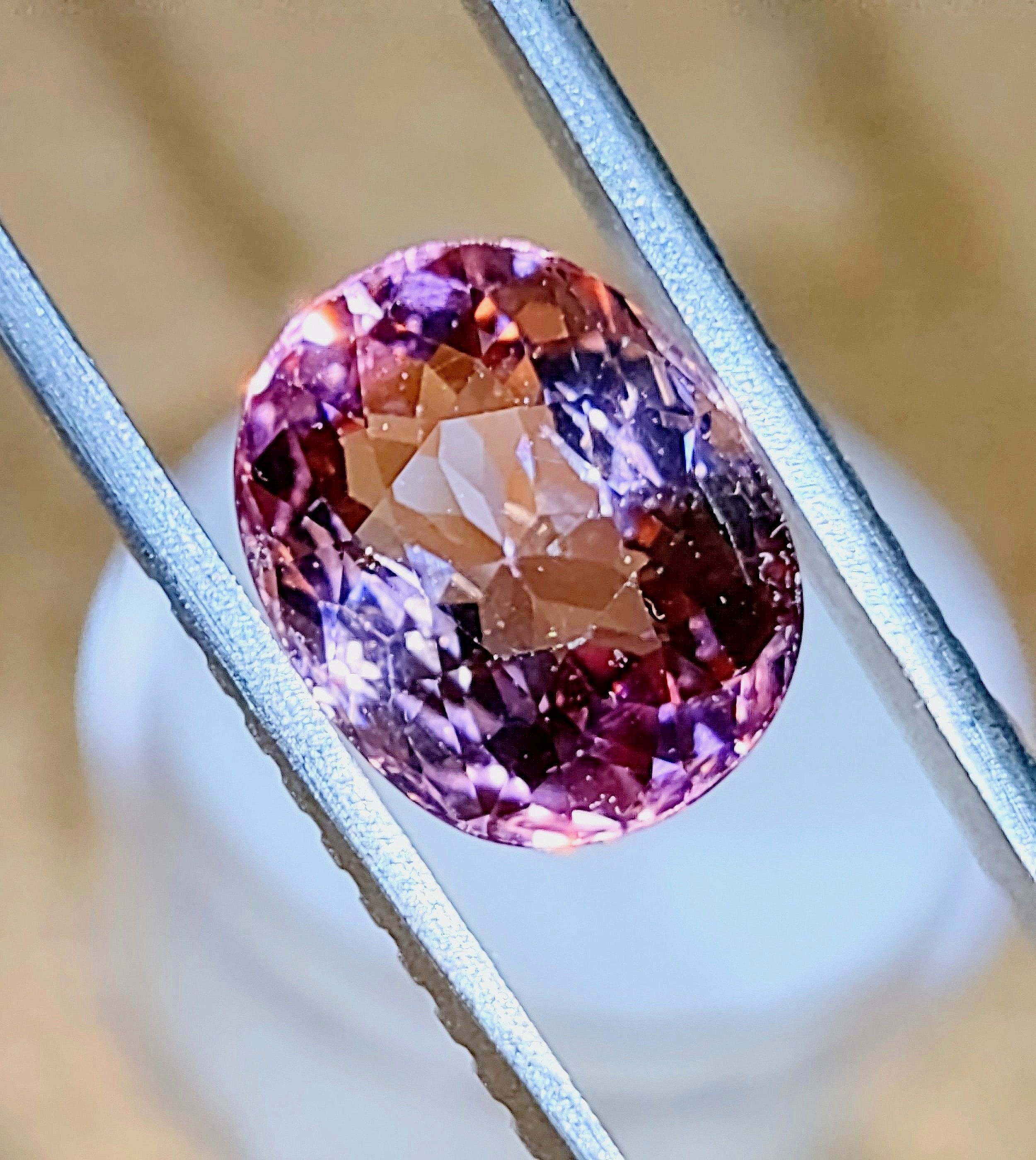 Pink%25252B4.88%25252B4.jpg