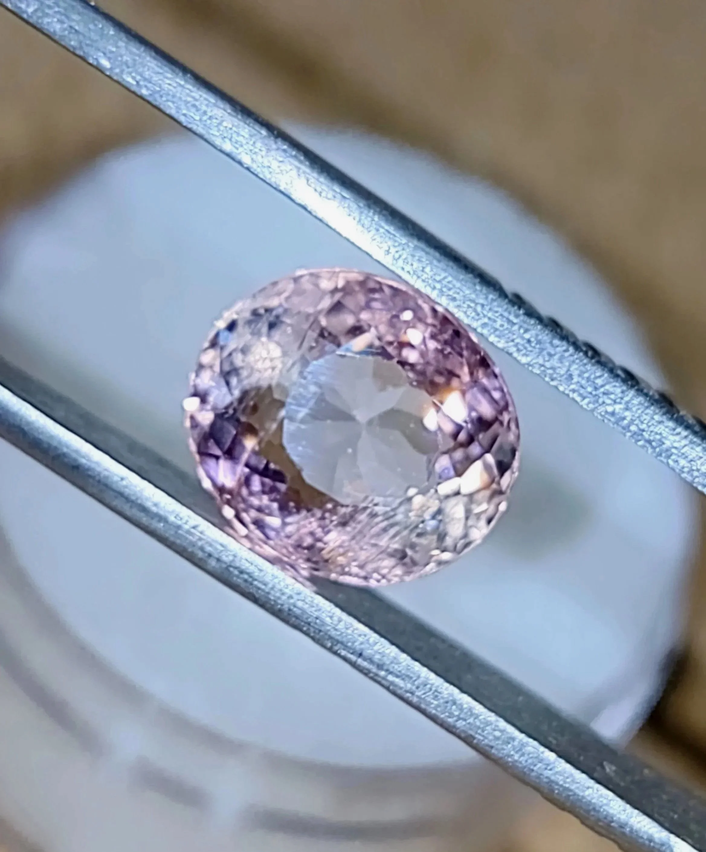 Pink%25252B2.93%25252B5.jpg