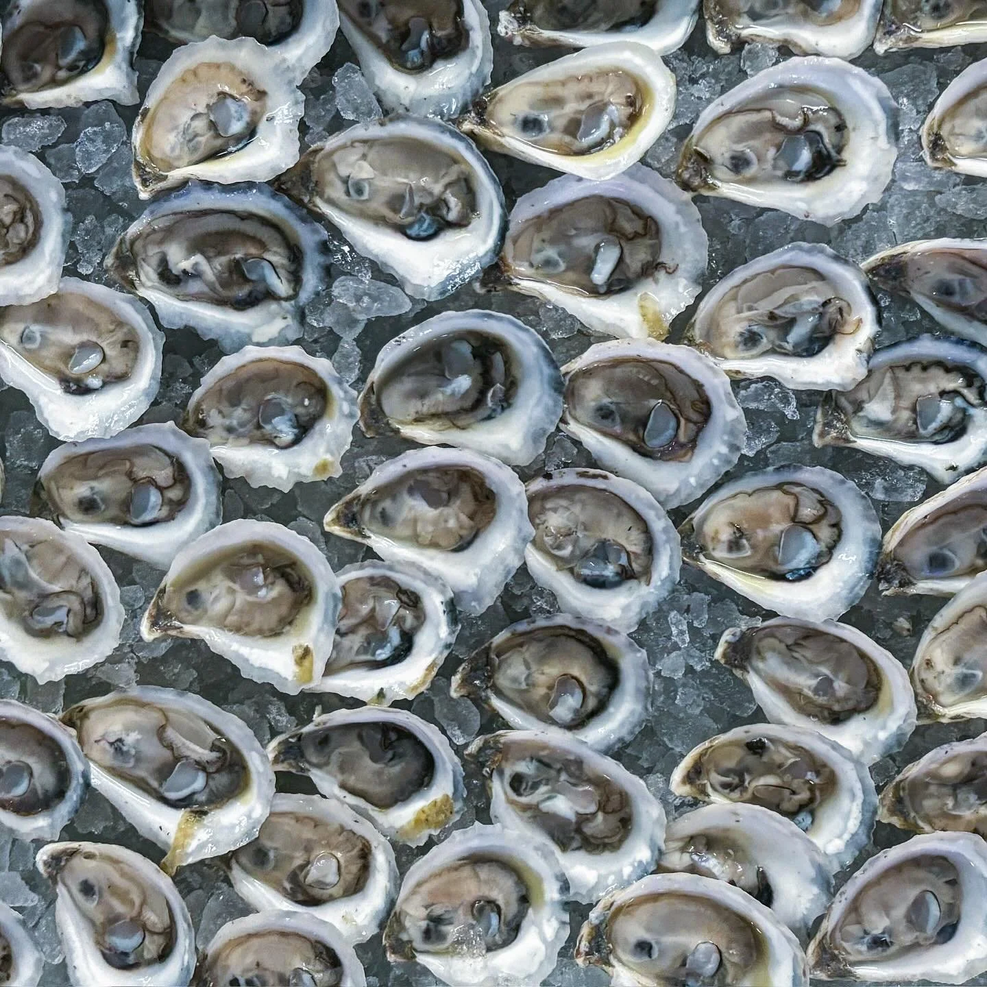This Friday, enjoy some fresh oysters and help our neighbors in Central Texas. 🦪 On Friday July 11, all proceeds from oyster sales will be donated to the Community Foundation of the Texas Hill Country to support flood relief efforts. Reserve yours n