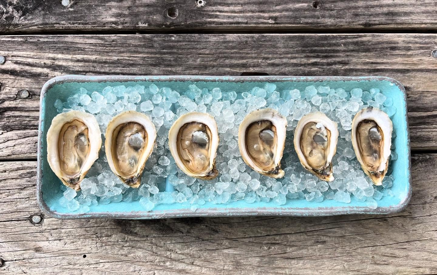 Reserve your Big Tree oysters for July 4! Available for pick up in Rockport this Friday from 10am to 12pm. DM us or email info@bigtreeoysters.com to reserve yours!