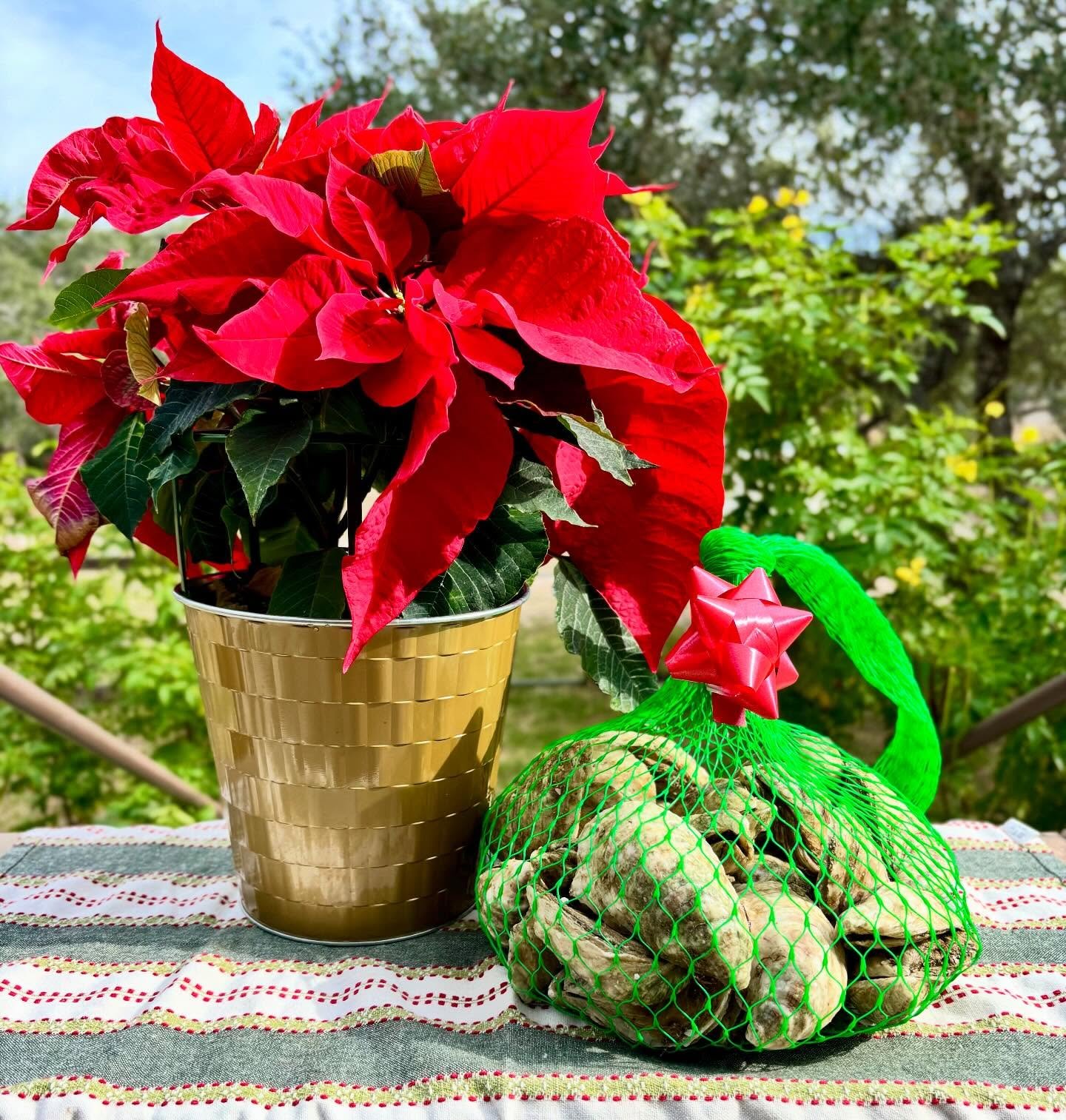 Give the gift of oysters! We&rsquo;ve got sacks of 50 or 100 fresh oysters for your loved ones&hellip; and gift certificates too! 

For Rockport orders, email us at info@bigtreeoysters.com to reserve your holiday oysters or order a printable gift cer