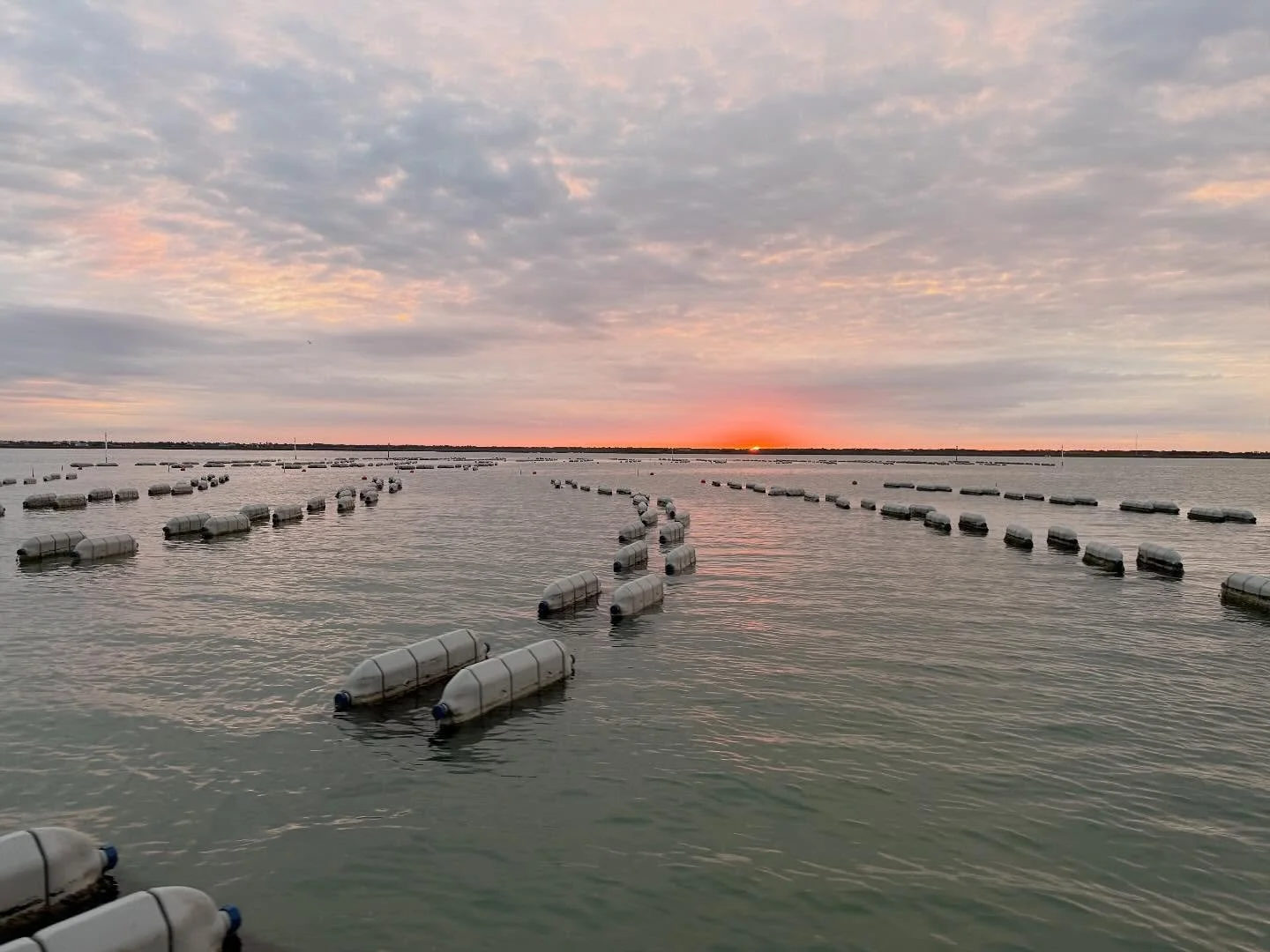 Winter sunrise farm magic ✨

📷: @ryan_riojas 🔥