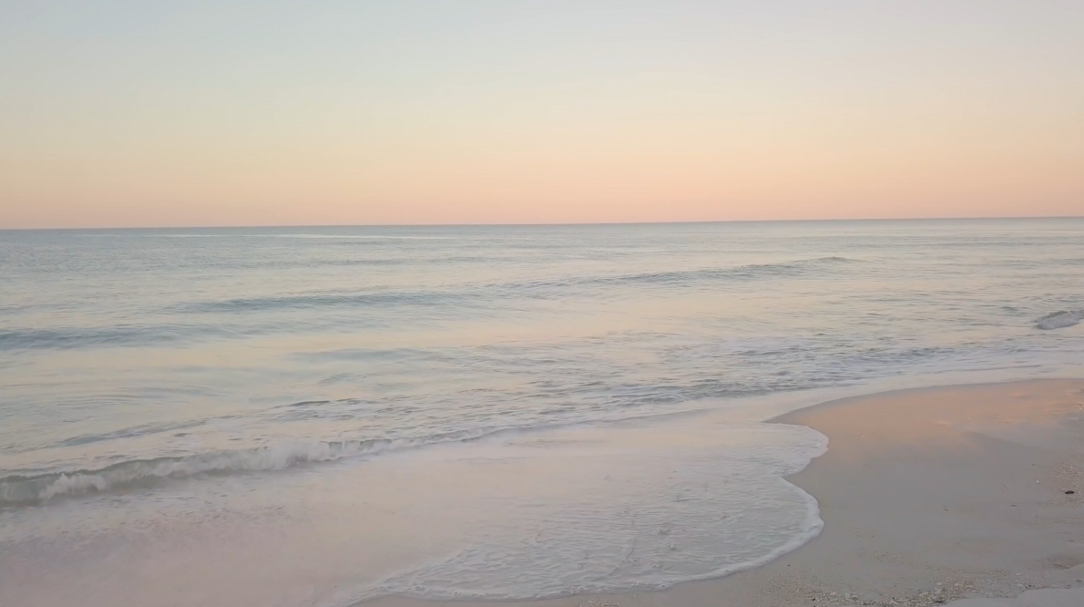 website colors soft.PNG