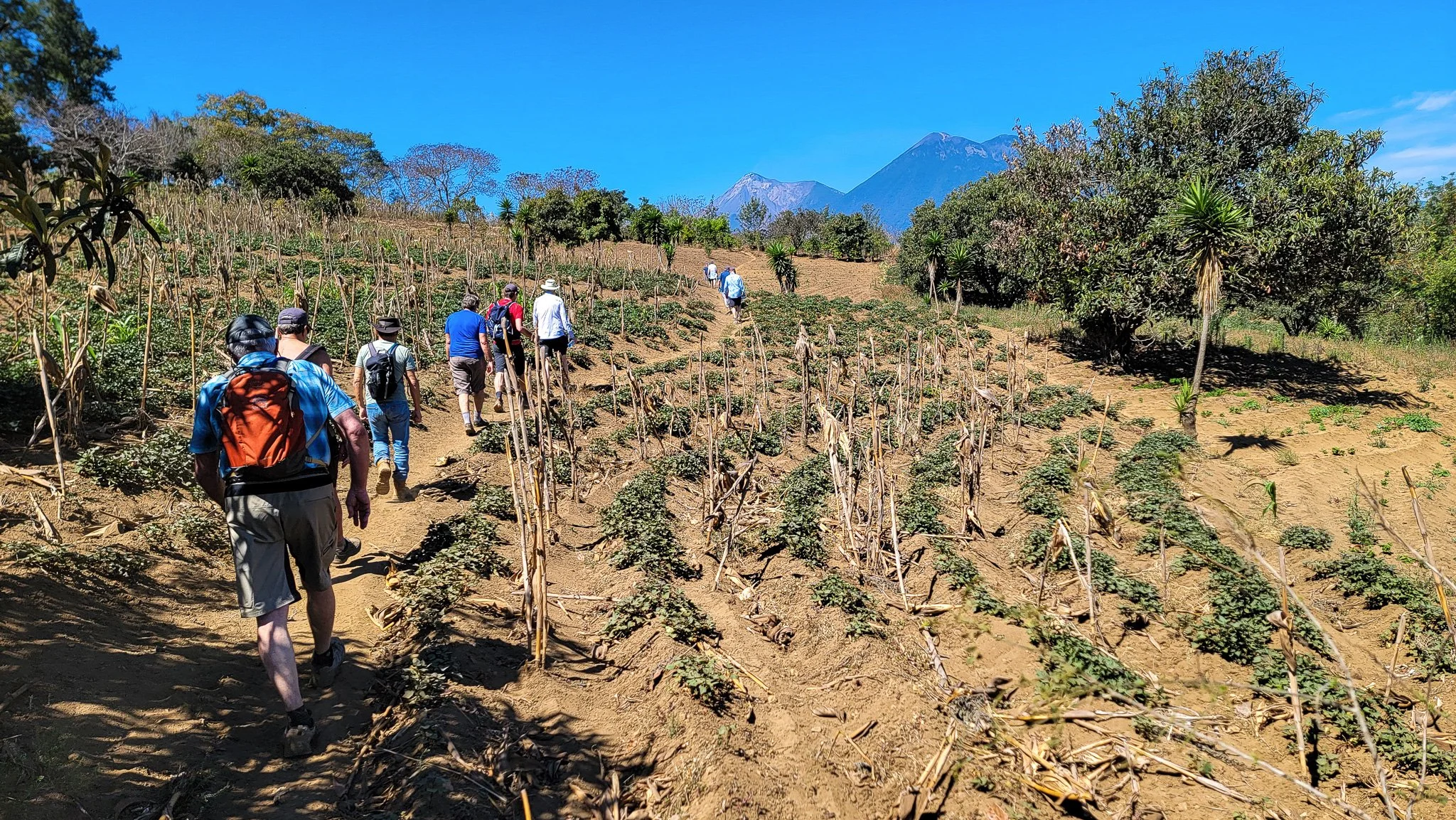 Tiger Team 32-035.jpg