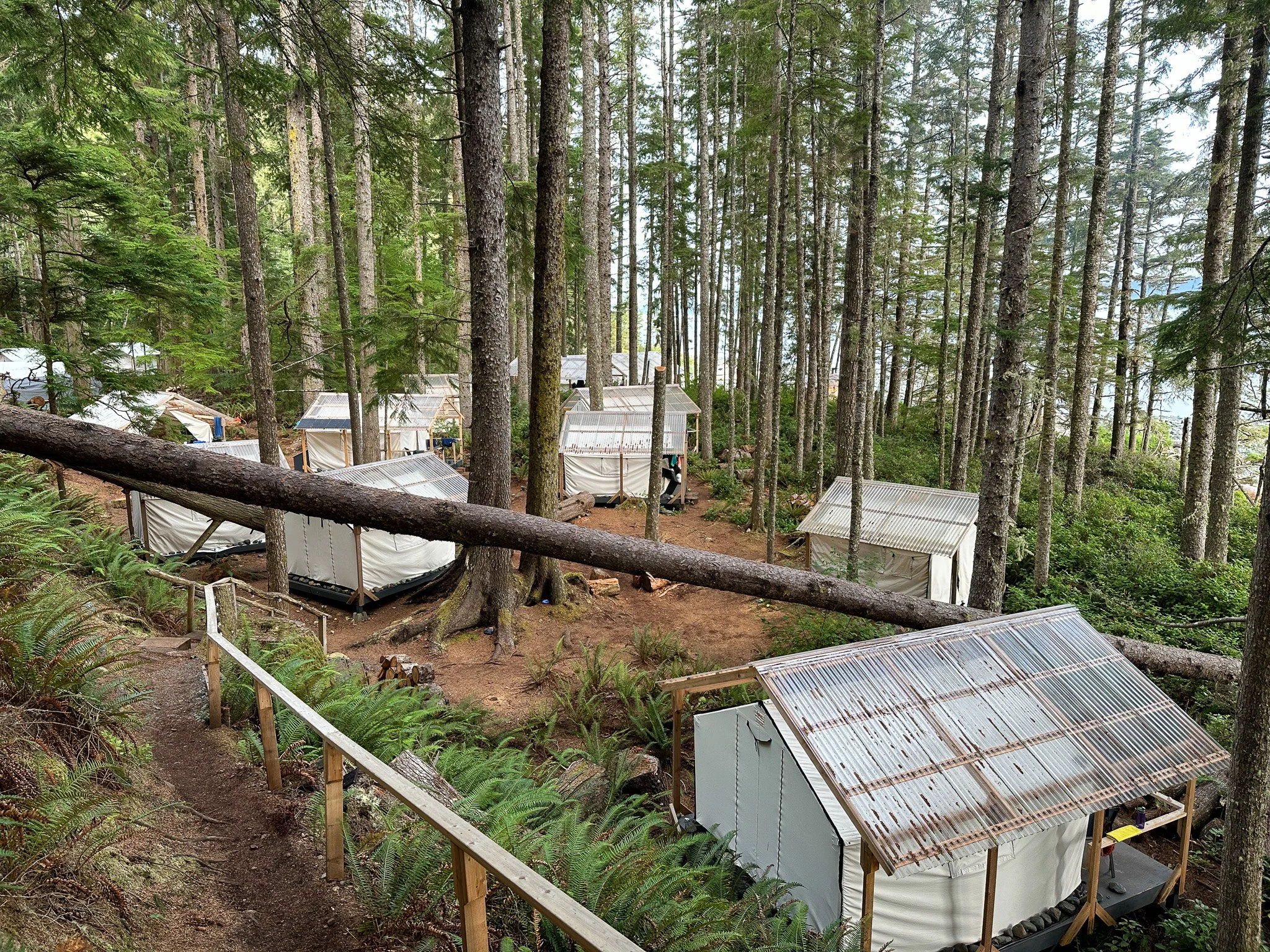 Orca Camp-099.jpg