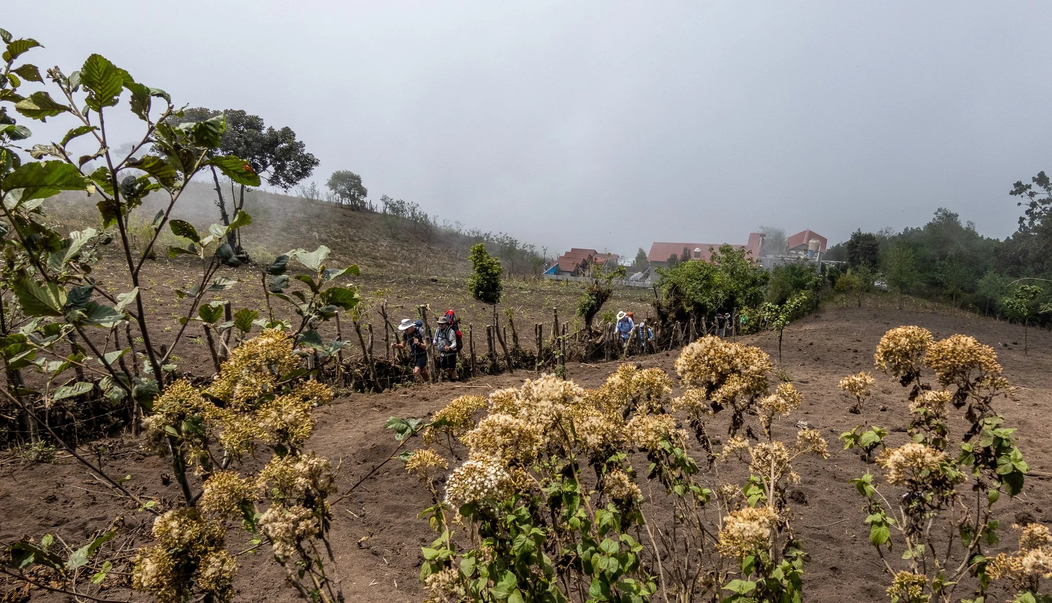 Tiger Team 32-076.jpg