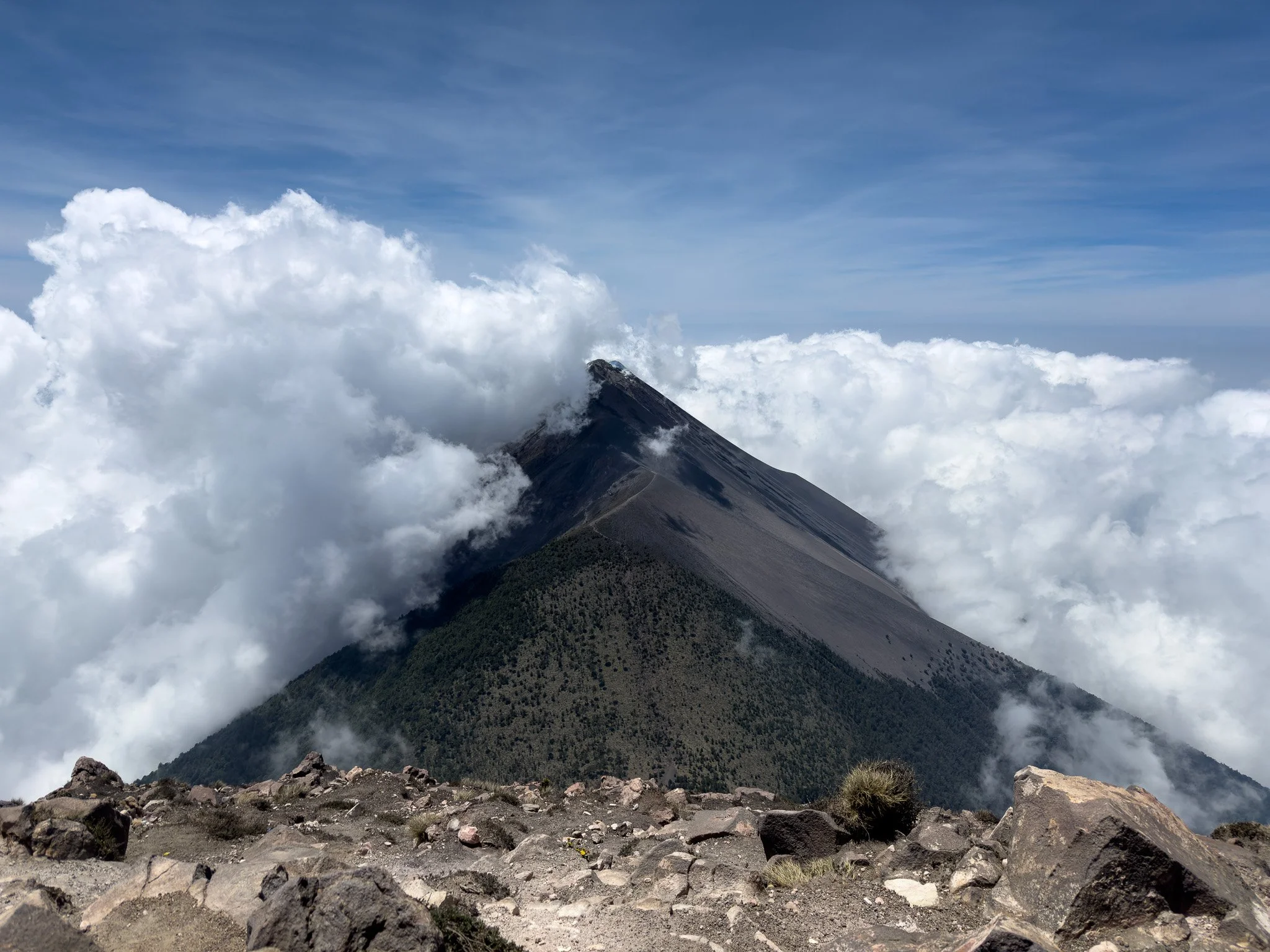 Tiger Team 32-110.jpg