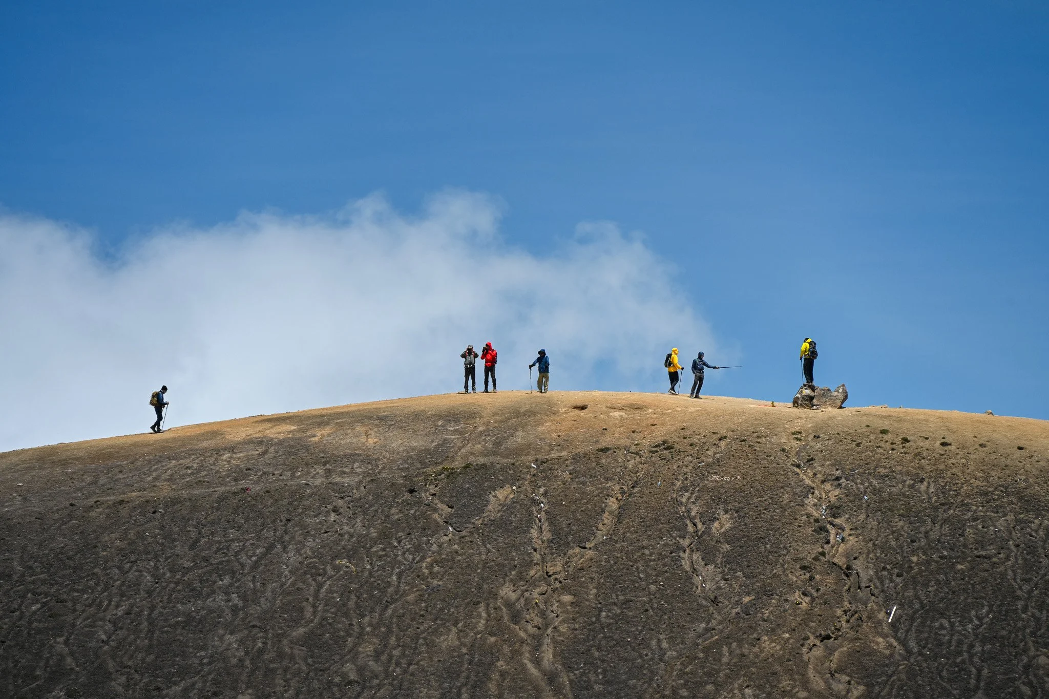 Tiger Team 32-116.jpg