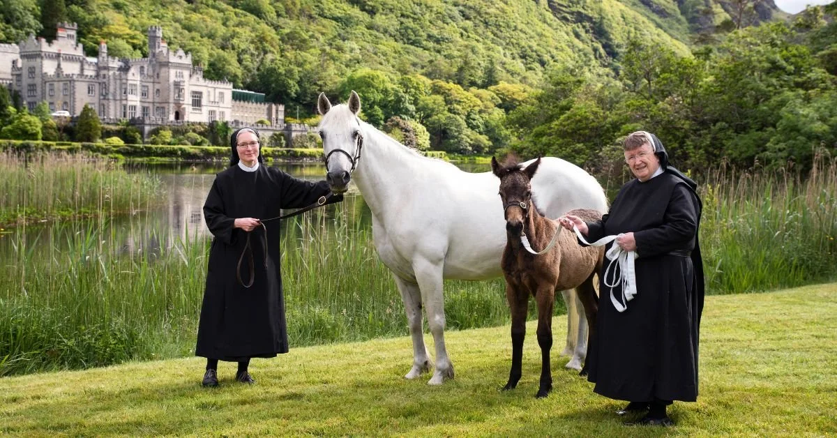 Kylemore-Horses-Nuns.jpg