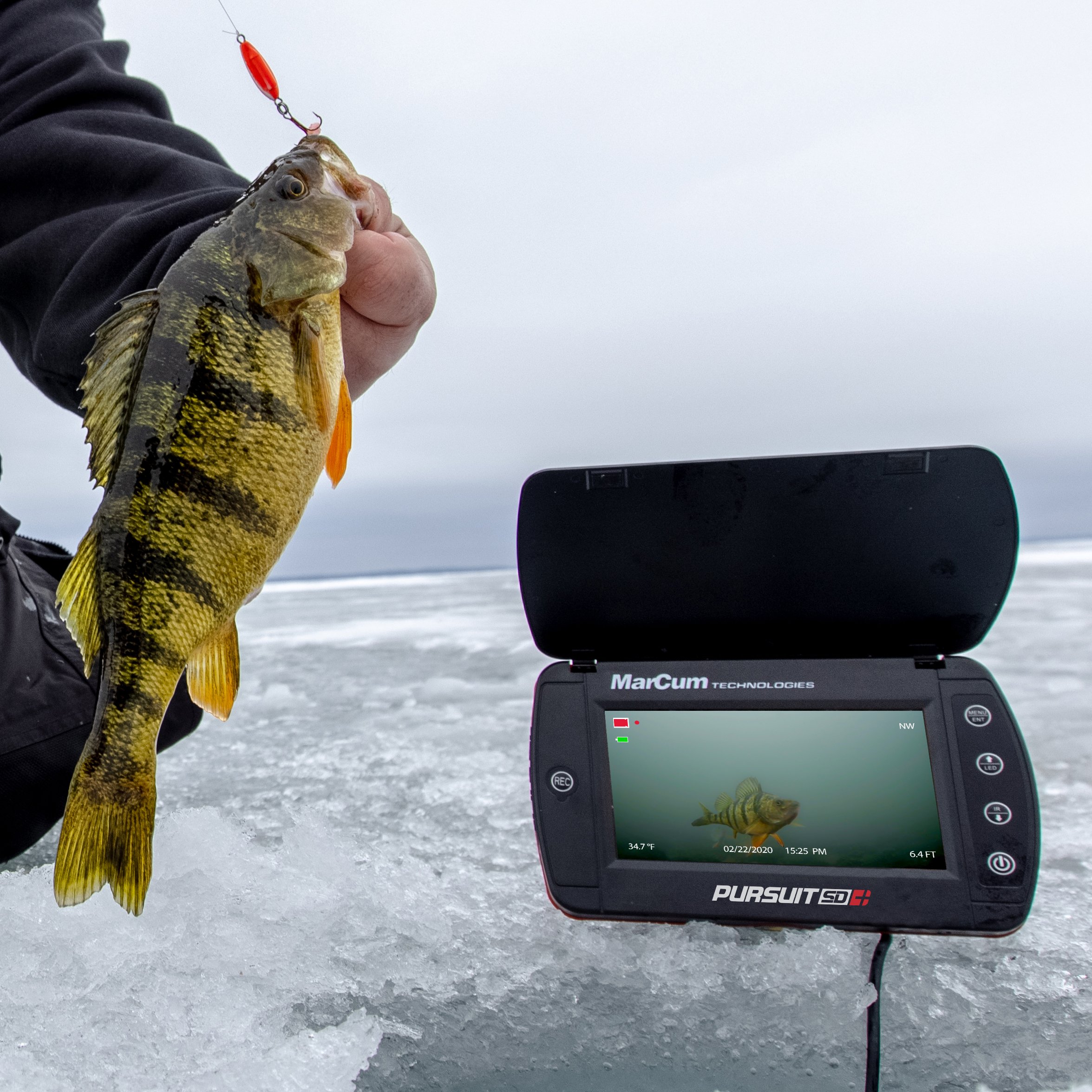PSD+_Pursuit-SD+_on-ice.jpg