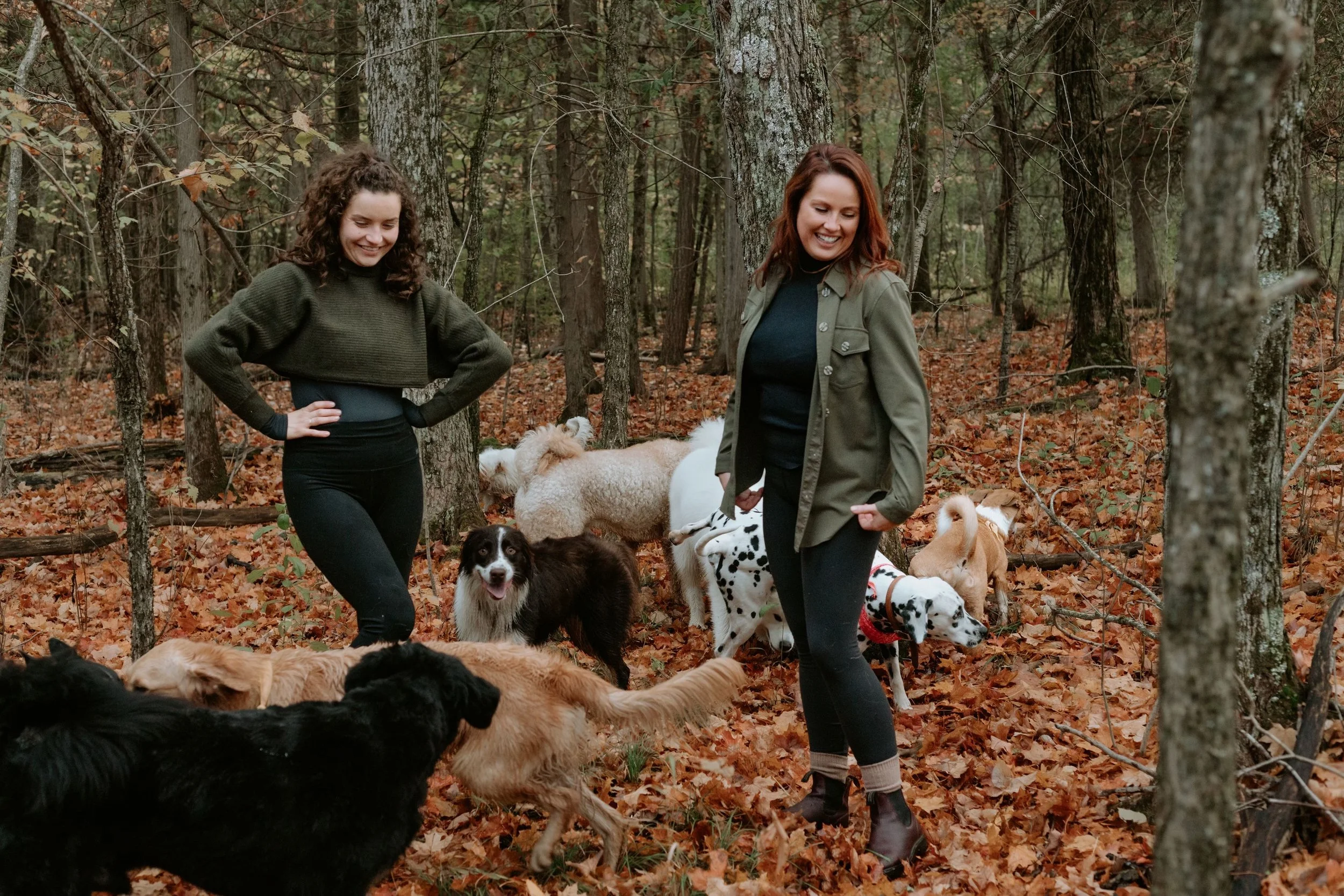 Two women surrounded by multiple dogs in a forest during autumn.