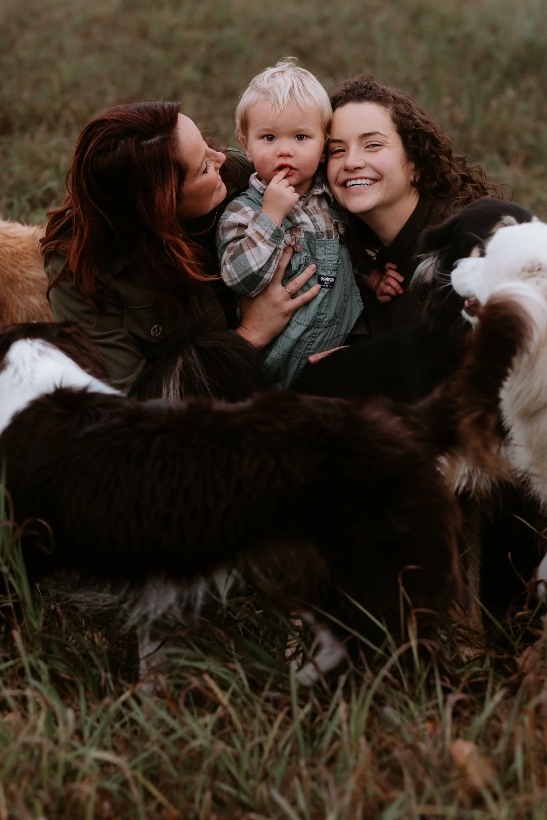 Two women and a young boy lying on grass among several dogs, smiling and enjoying the outdoors.