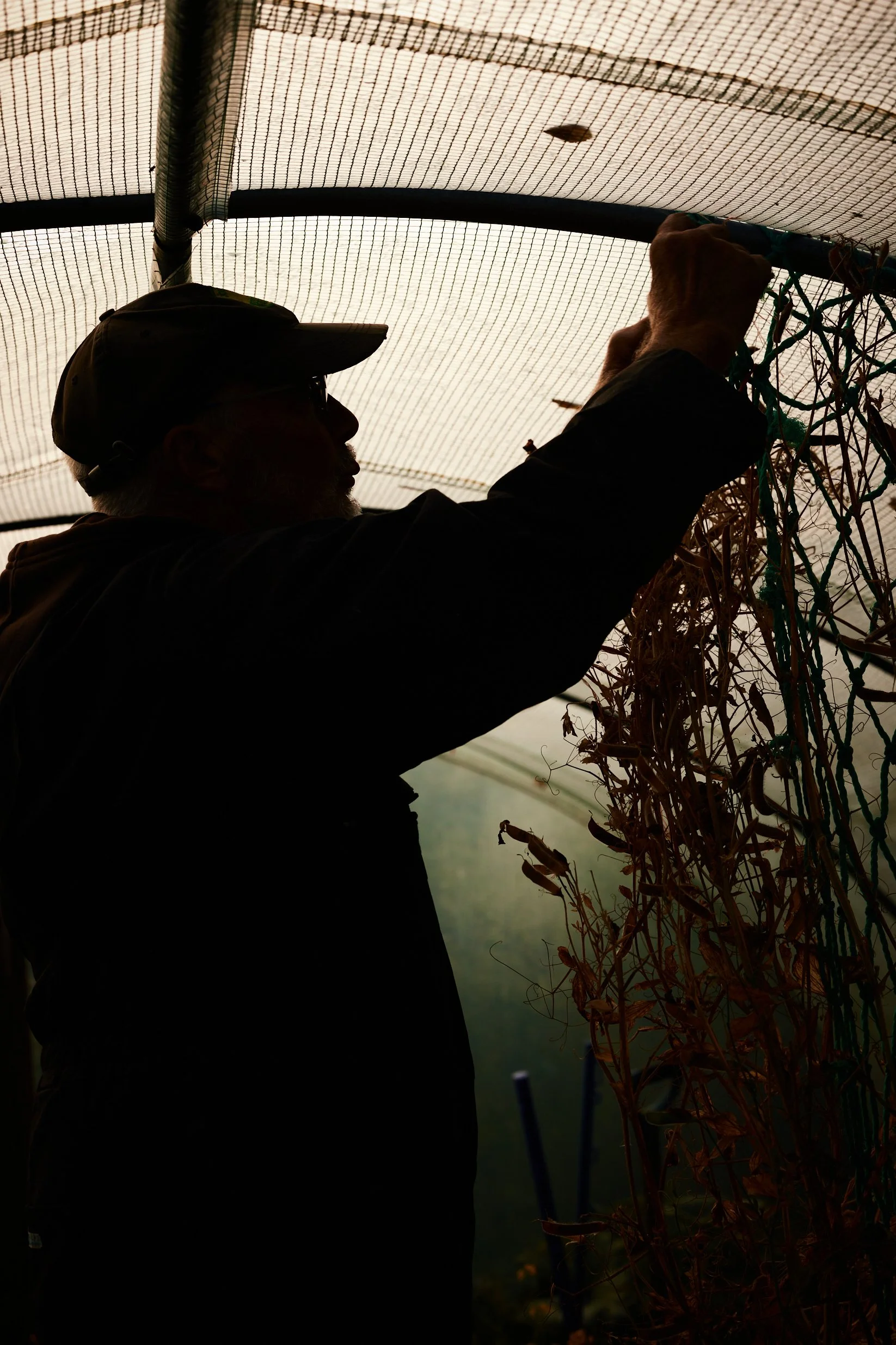 PAUL COUTS_IMG_3131_.jpg