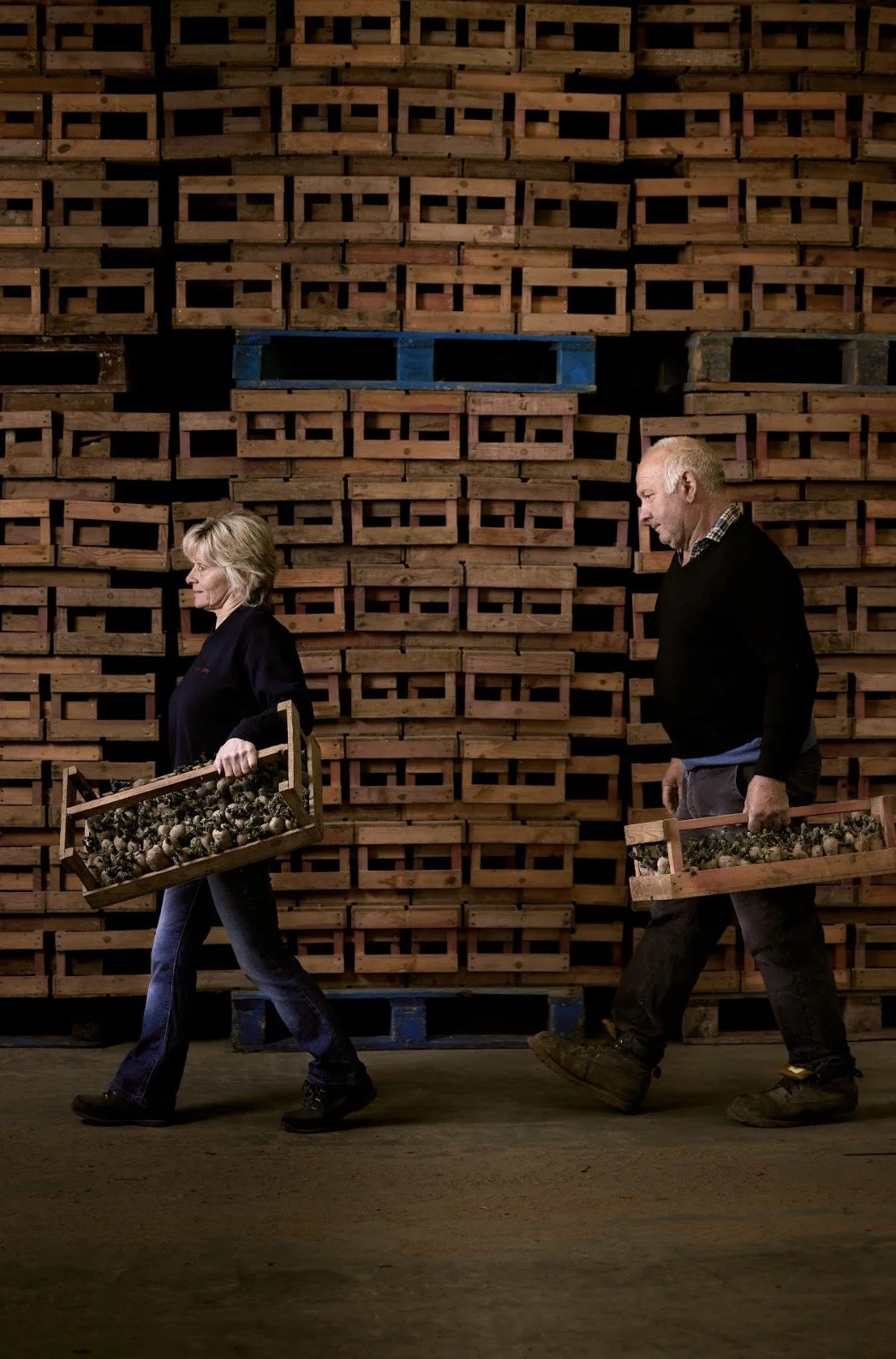 Albert Bartlett_8.02.jpg