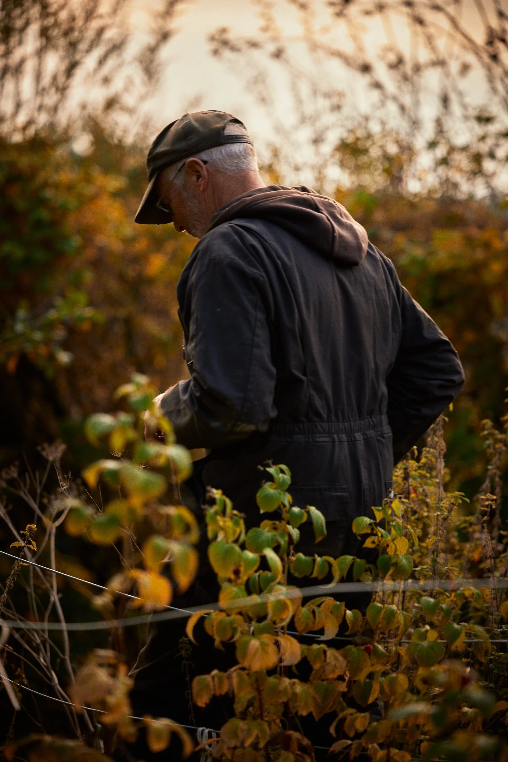 PAUL COUTS_IMG_3275_.jpg