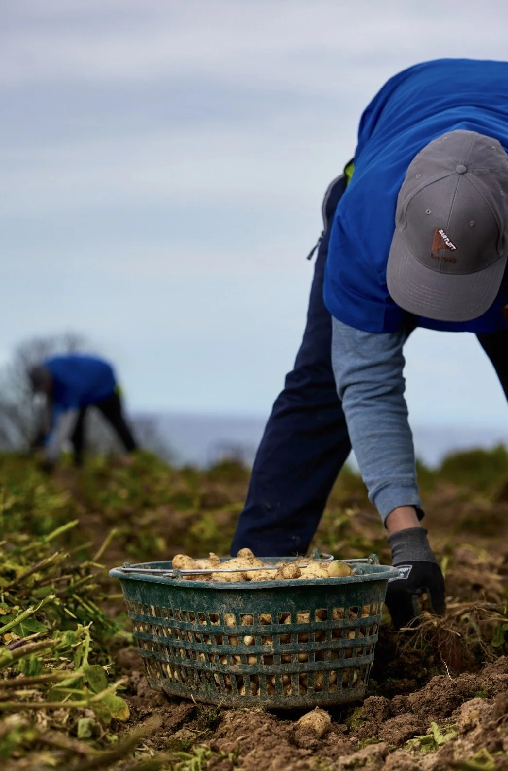 Albert Bartlett_8.23.jpg