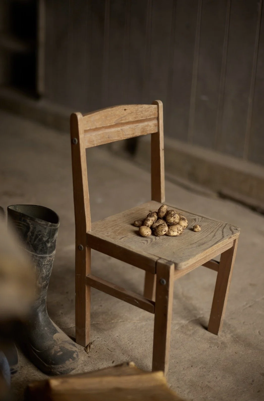 Albert Bartlett_8.14.jpg