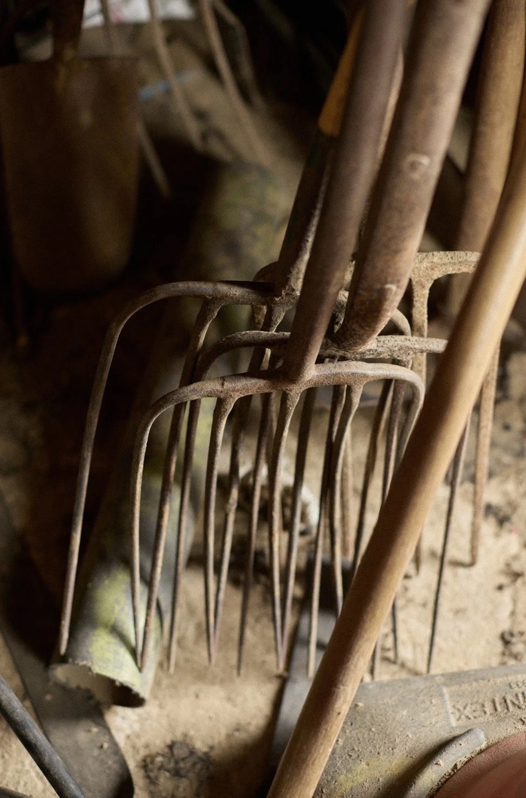 Albert Bartlett_8.11.jpg