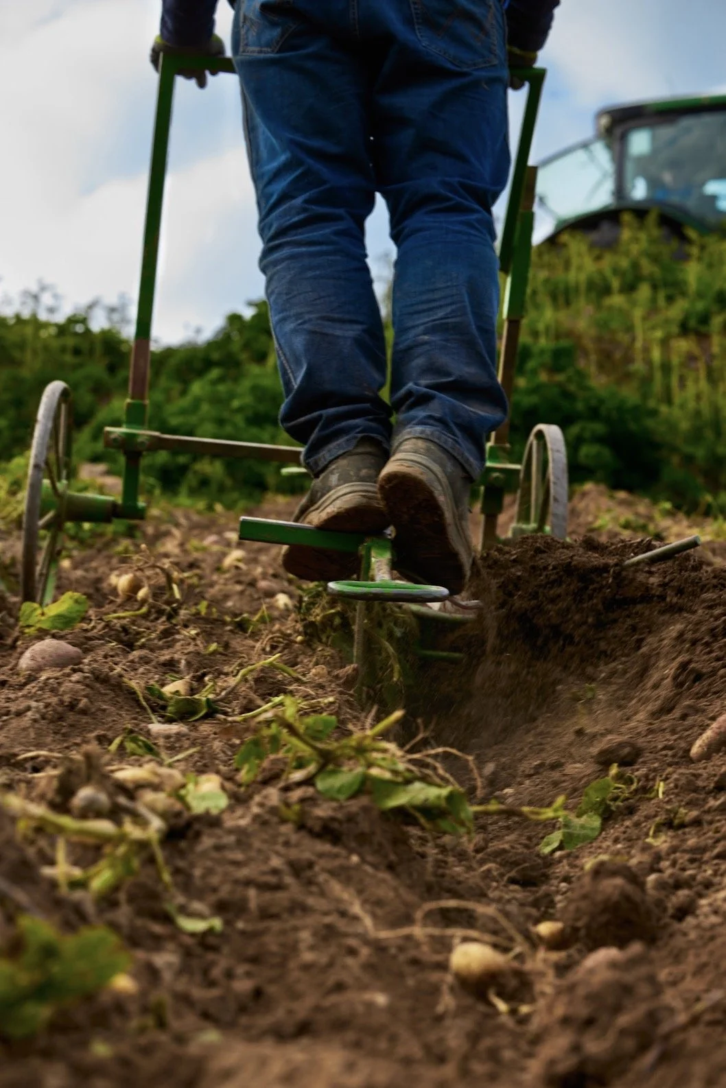 Albert Bartlett_9.38.jpg