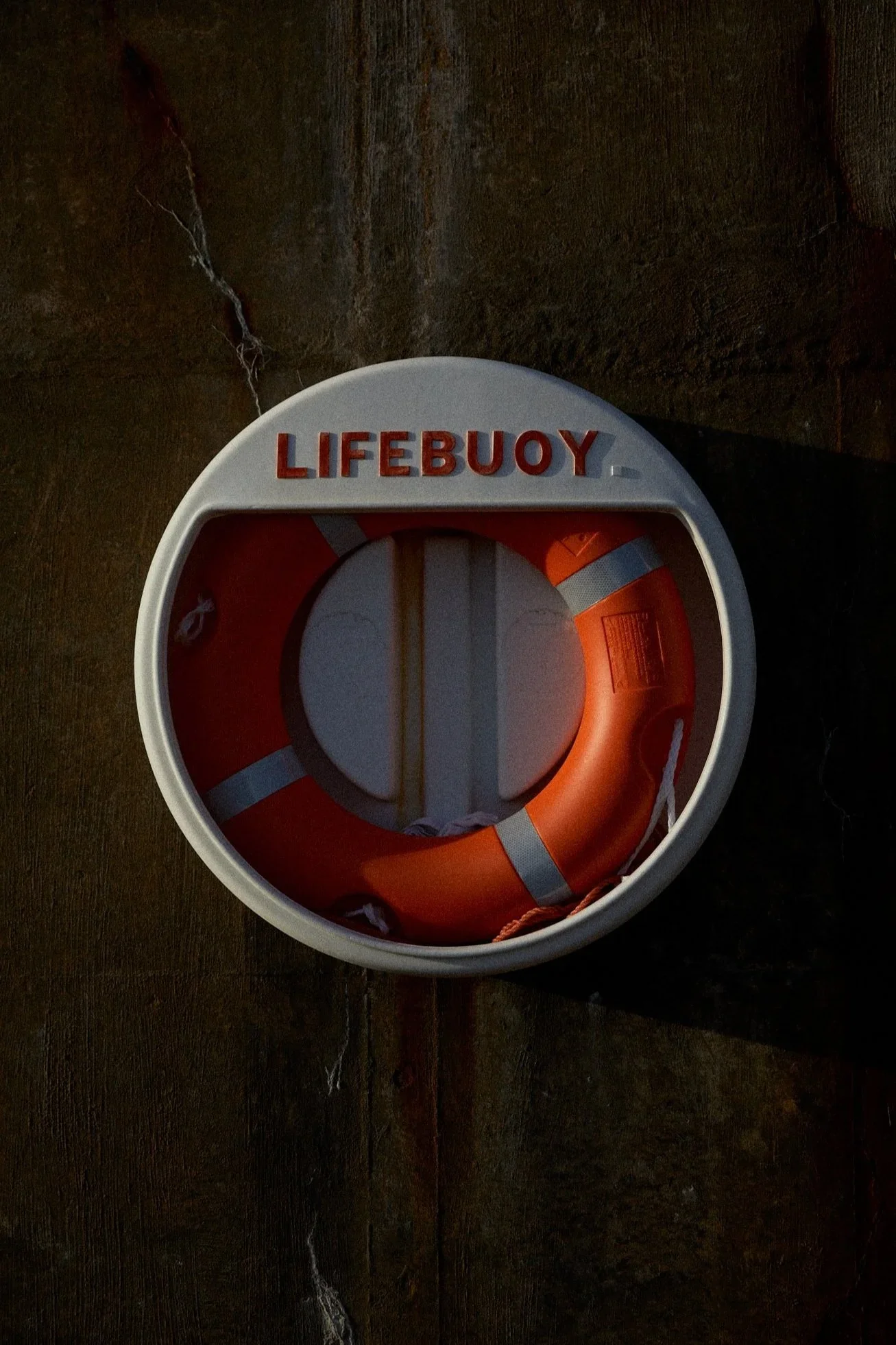 A life buoy with the word 'LIFEBOUY' on top, mounted against a dark textured wall.