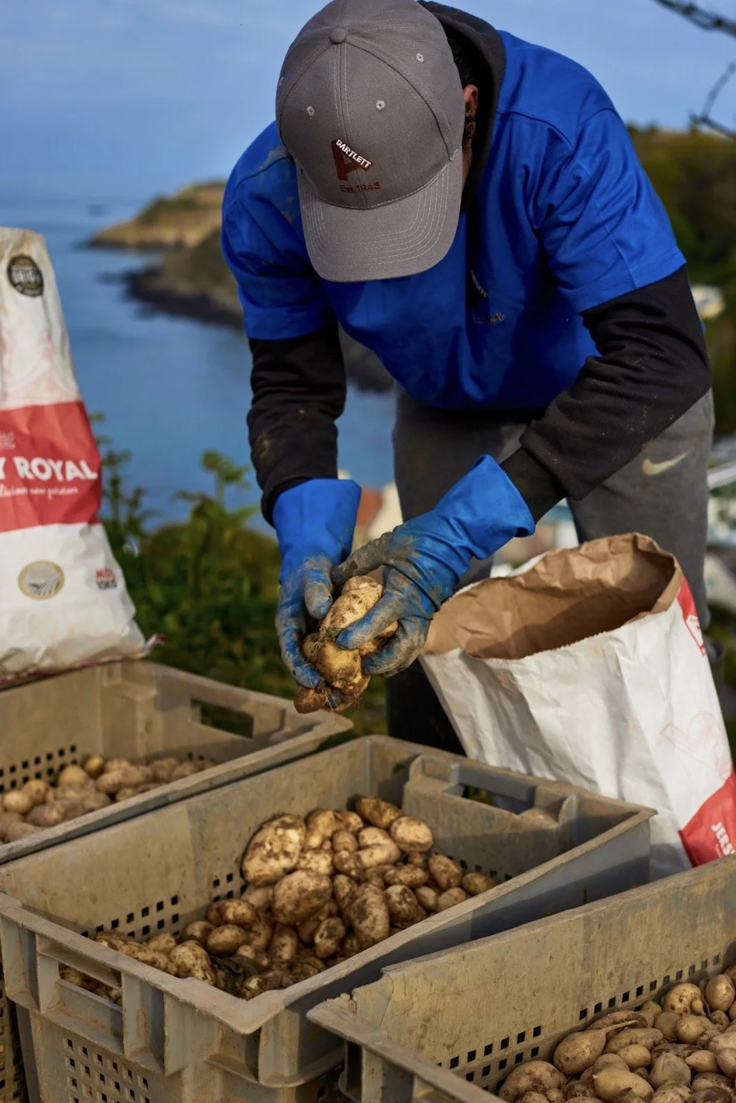 Albert Bartlett_9.59.jpg