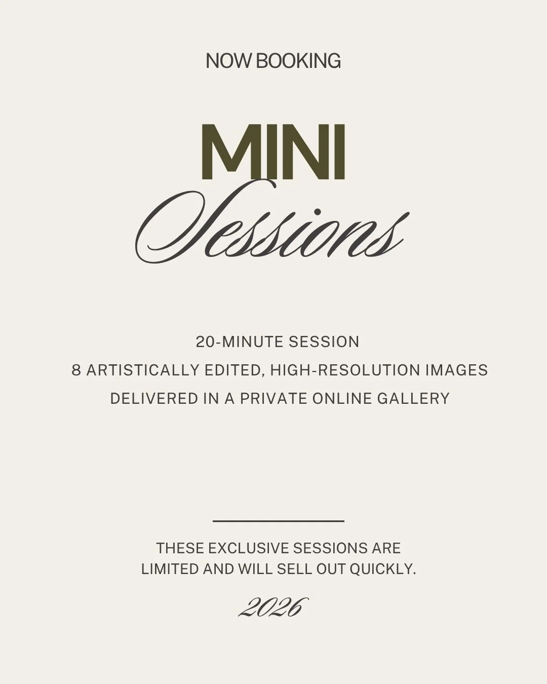 christmas special offer (6).jpg