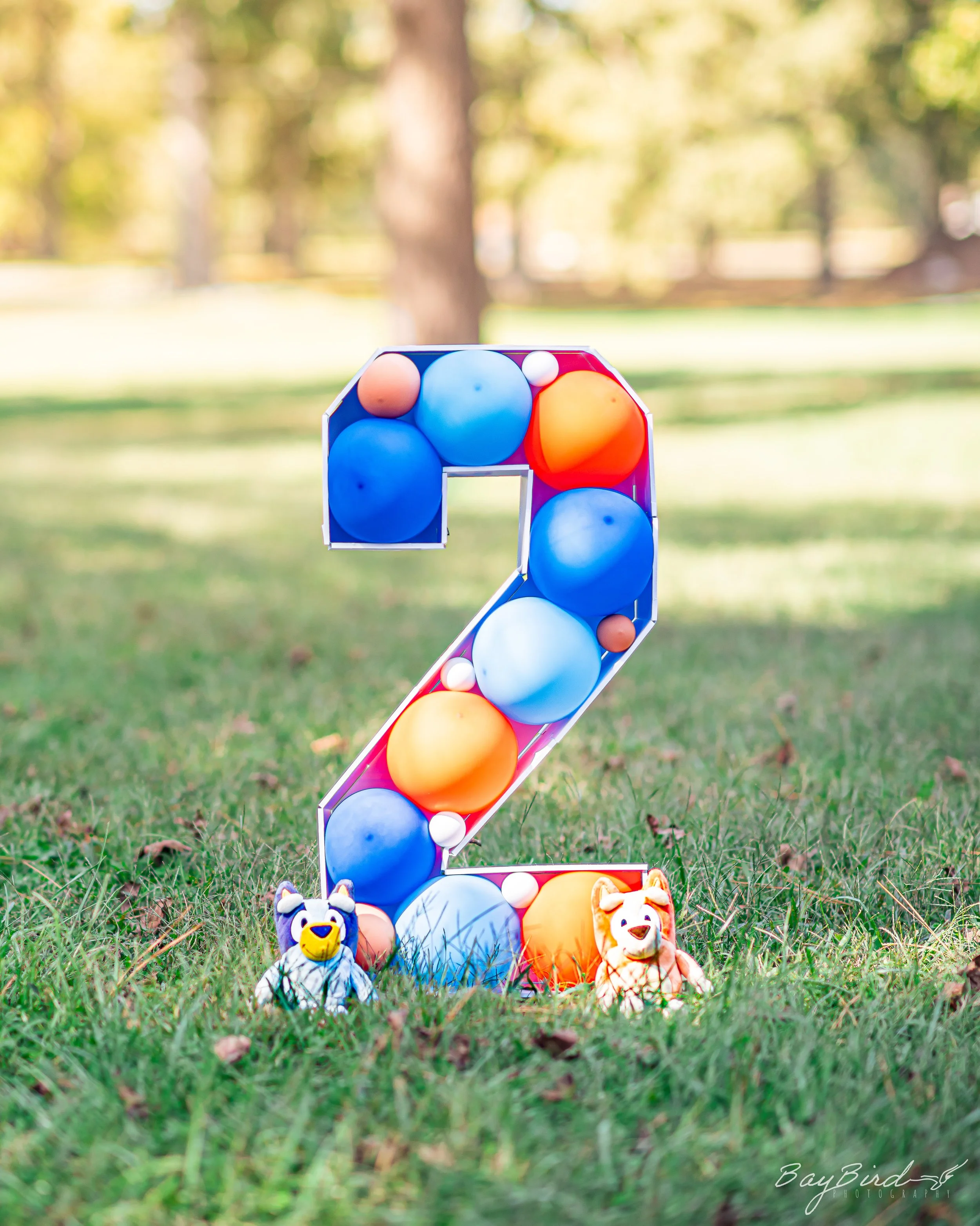 AnnisBirthdays 163 _BBP6428.jpg