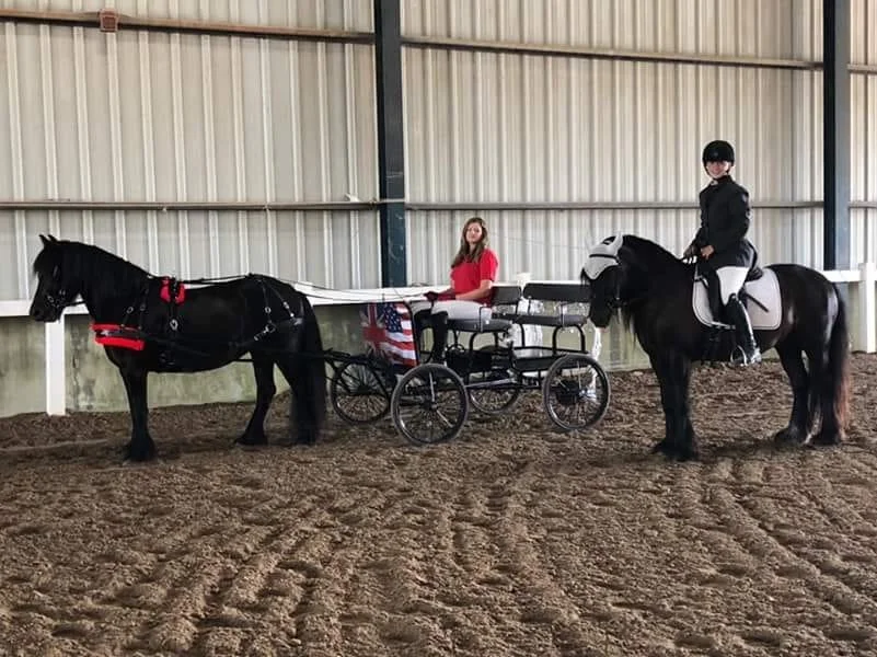 BreyerFest 2018: Celebrating the Fell Pony Breed