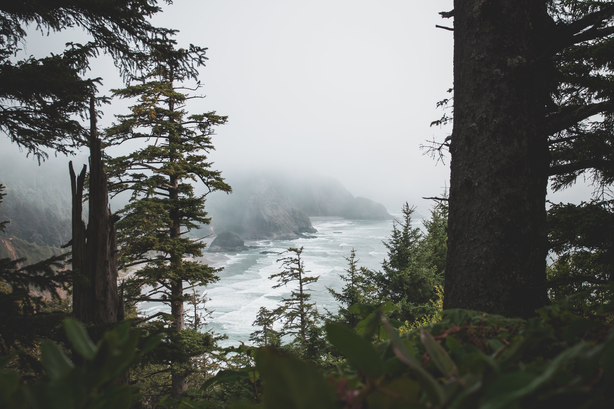 pnwtravel3.jpg