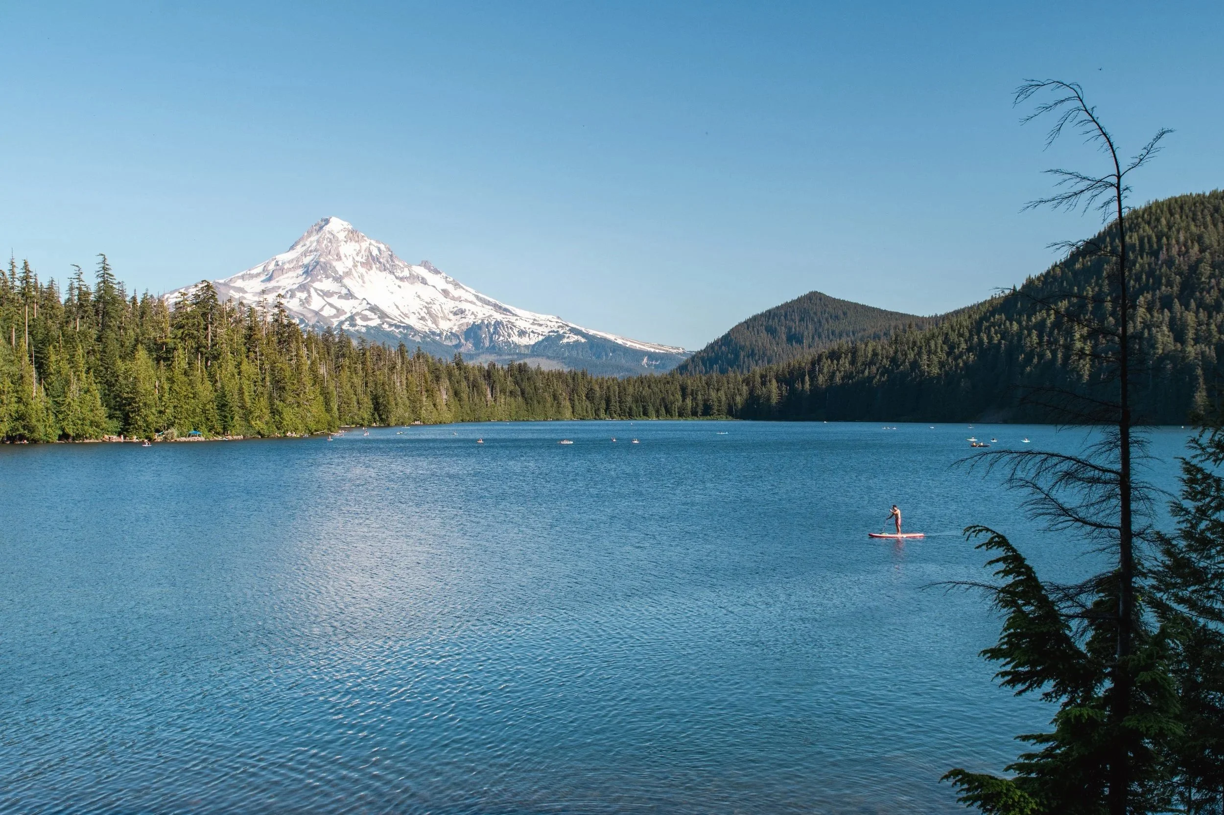 A peaceful lake surrounded by green trees with Mount Hood in the background, a person paddleboarding on the water, clear blue sky.
