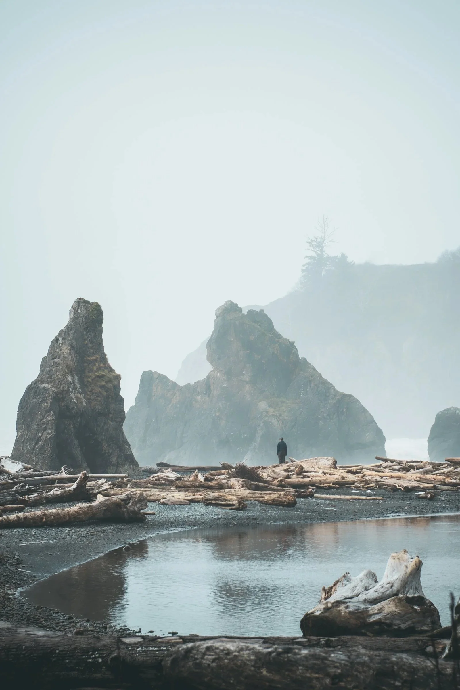 A foggy Pacific Northwest coastal scene featuring large rocks, driftwood, a small pond of water, and a solitary person walking along the shoreline.