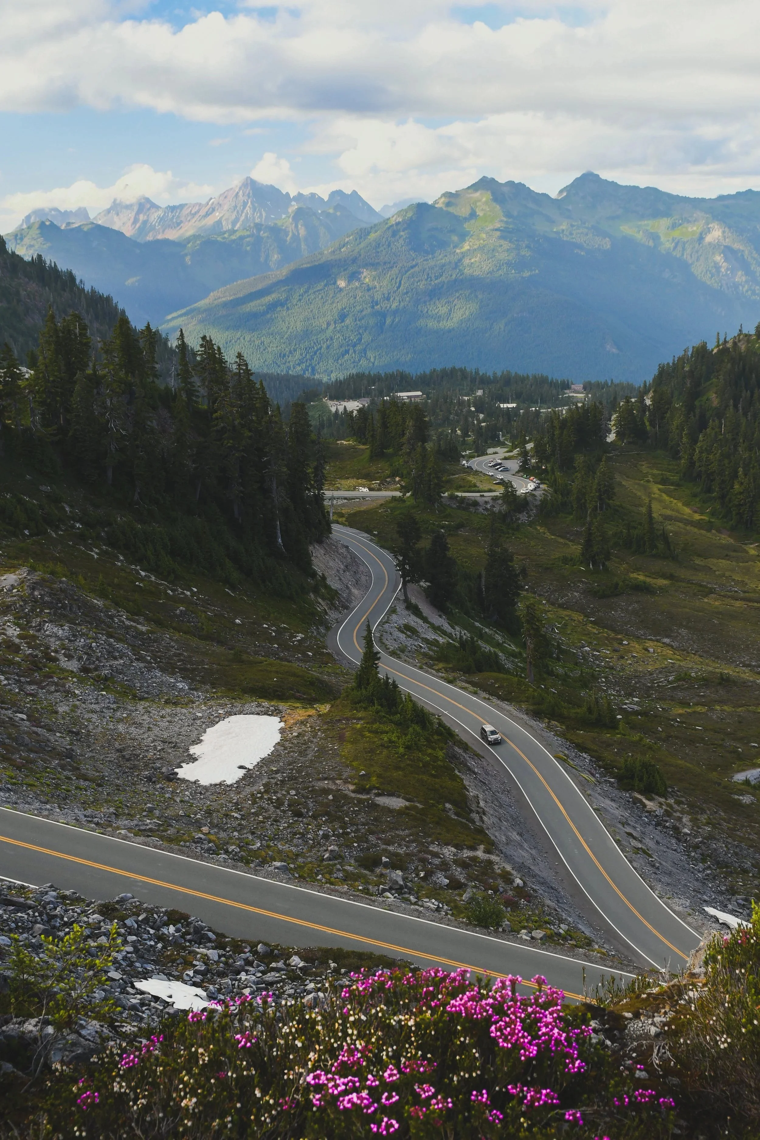 Winding Washington mountain road with cars, surrounded by forest, mountains in the background, pink flowers in the foreground.