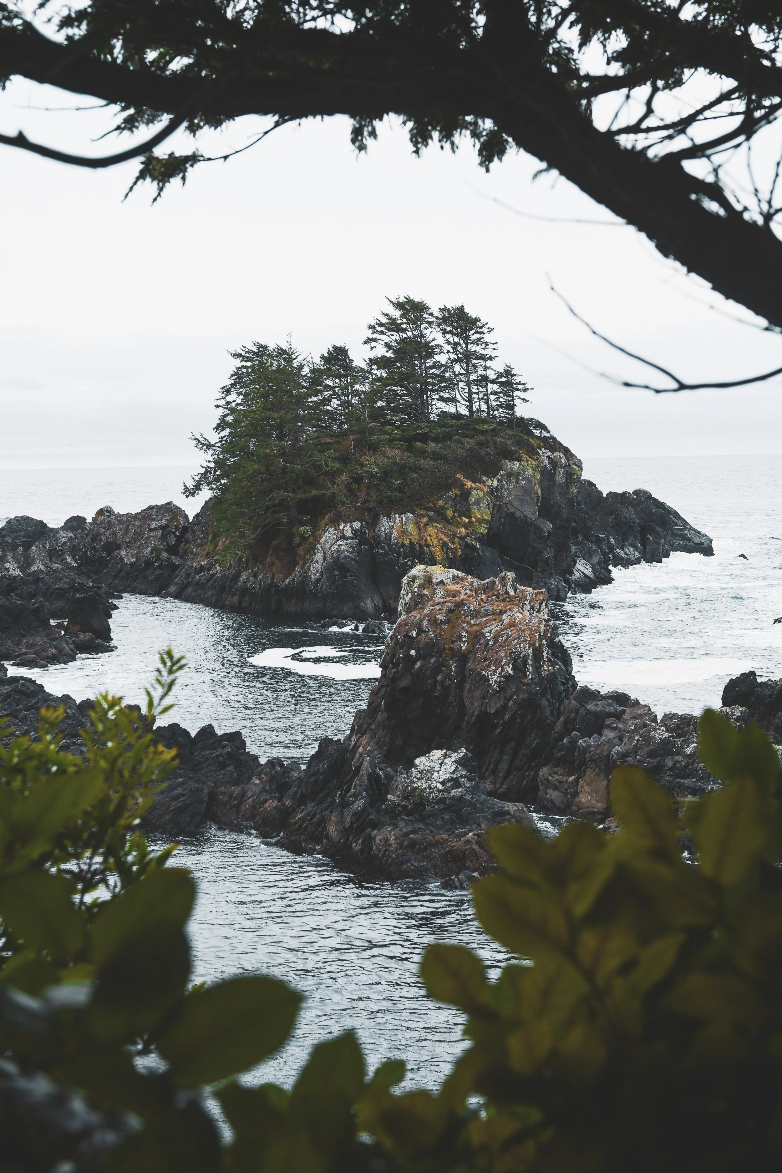 Vancouver Island: A Quiet Kind of Wild