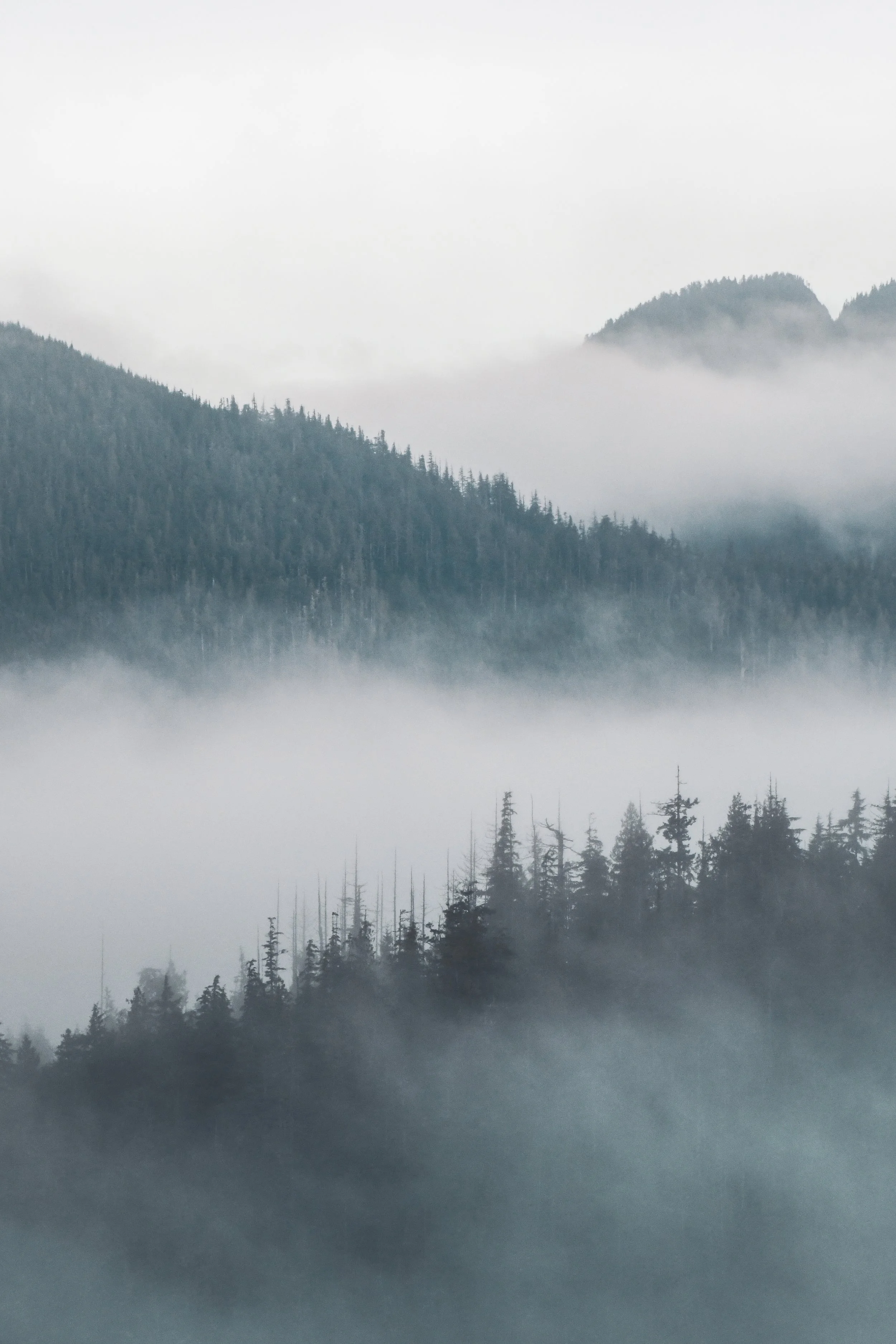 VancouverIsland14.jpg