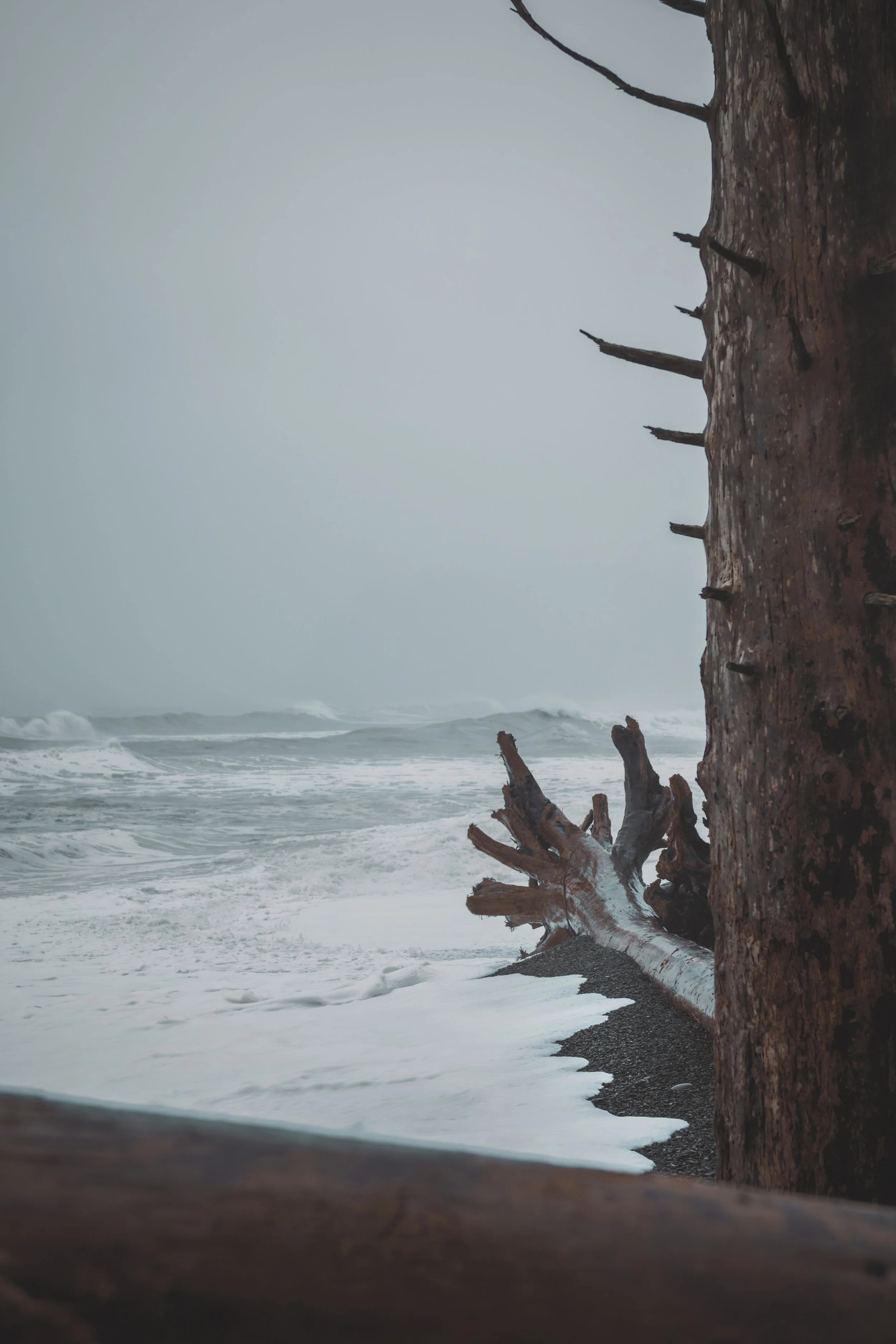 Rialto Beach Fog.jpg