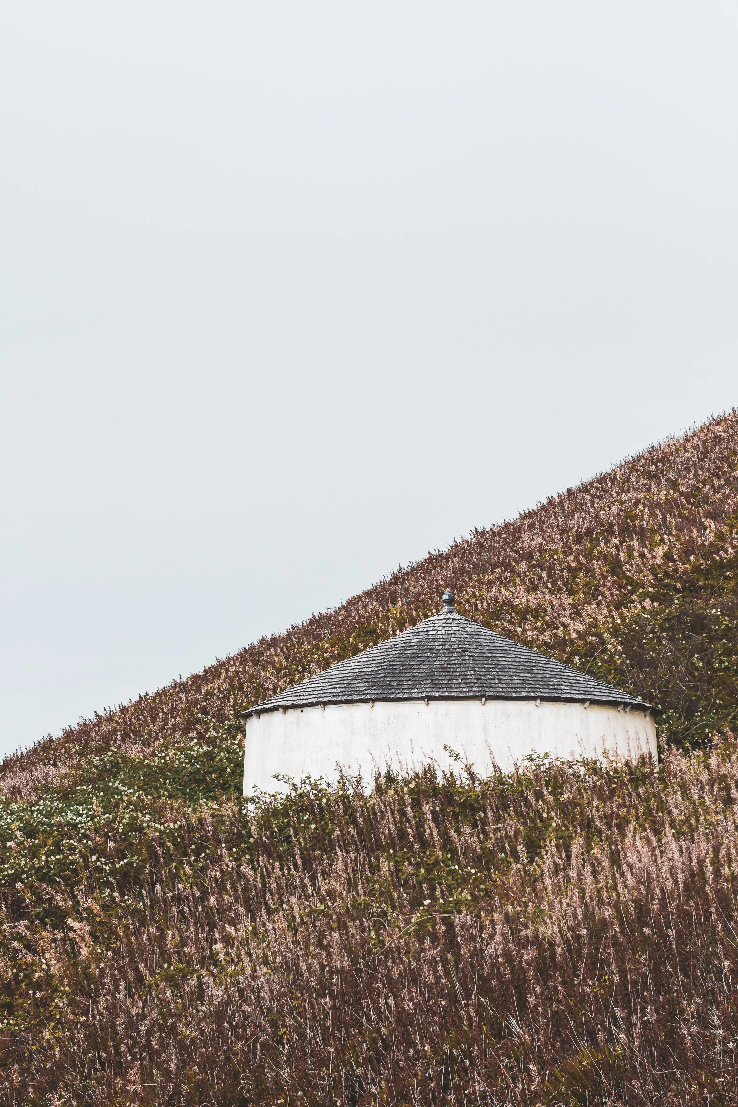 A white circular building with a shingled roof set among a hillside covered in pink and white flowers.