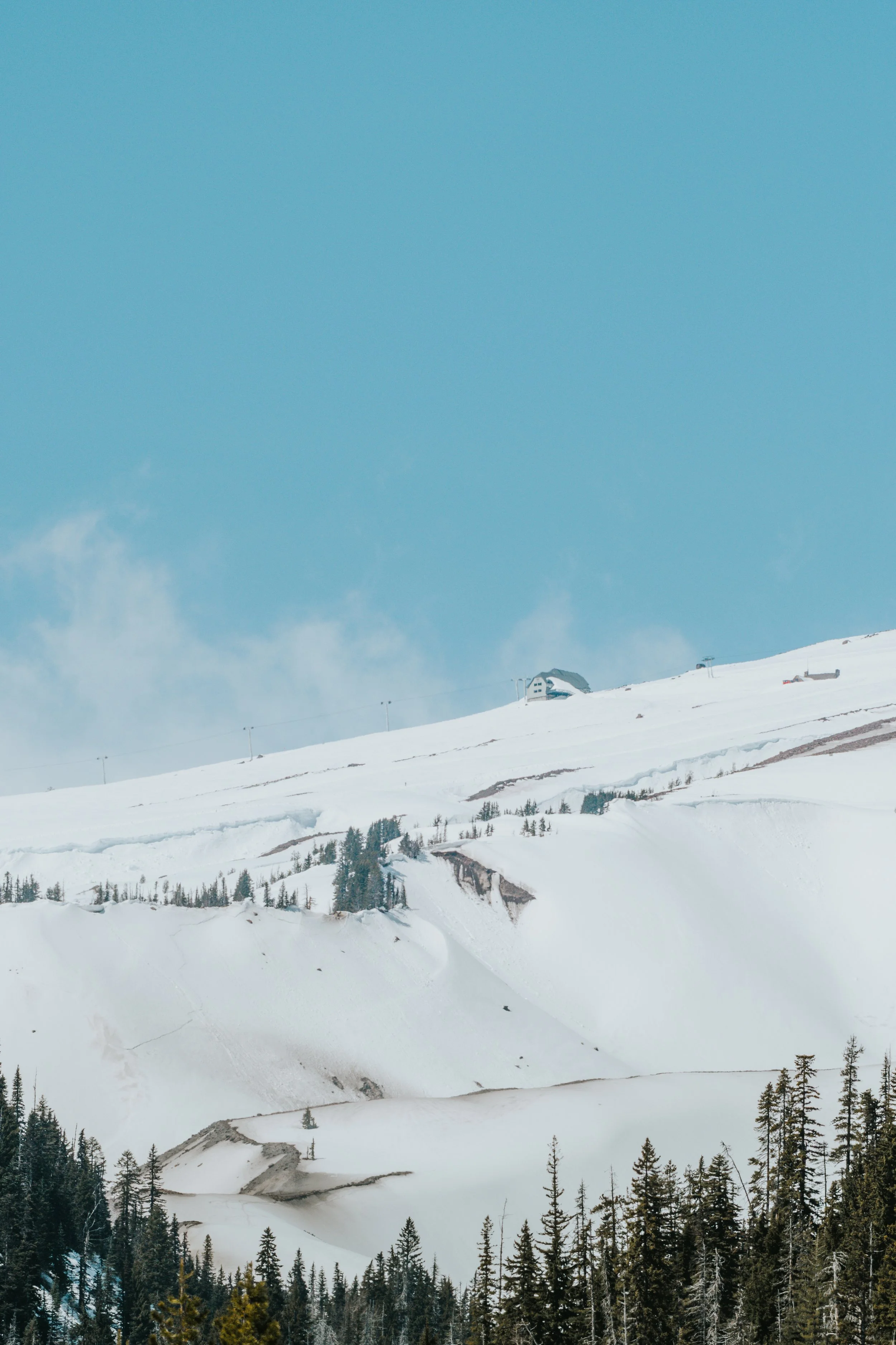 mthood7.jpg