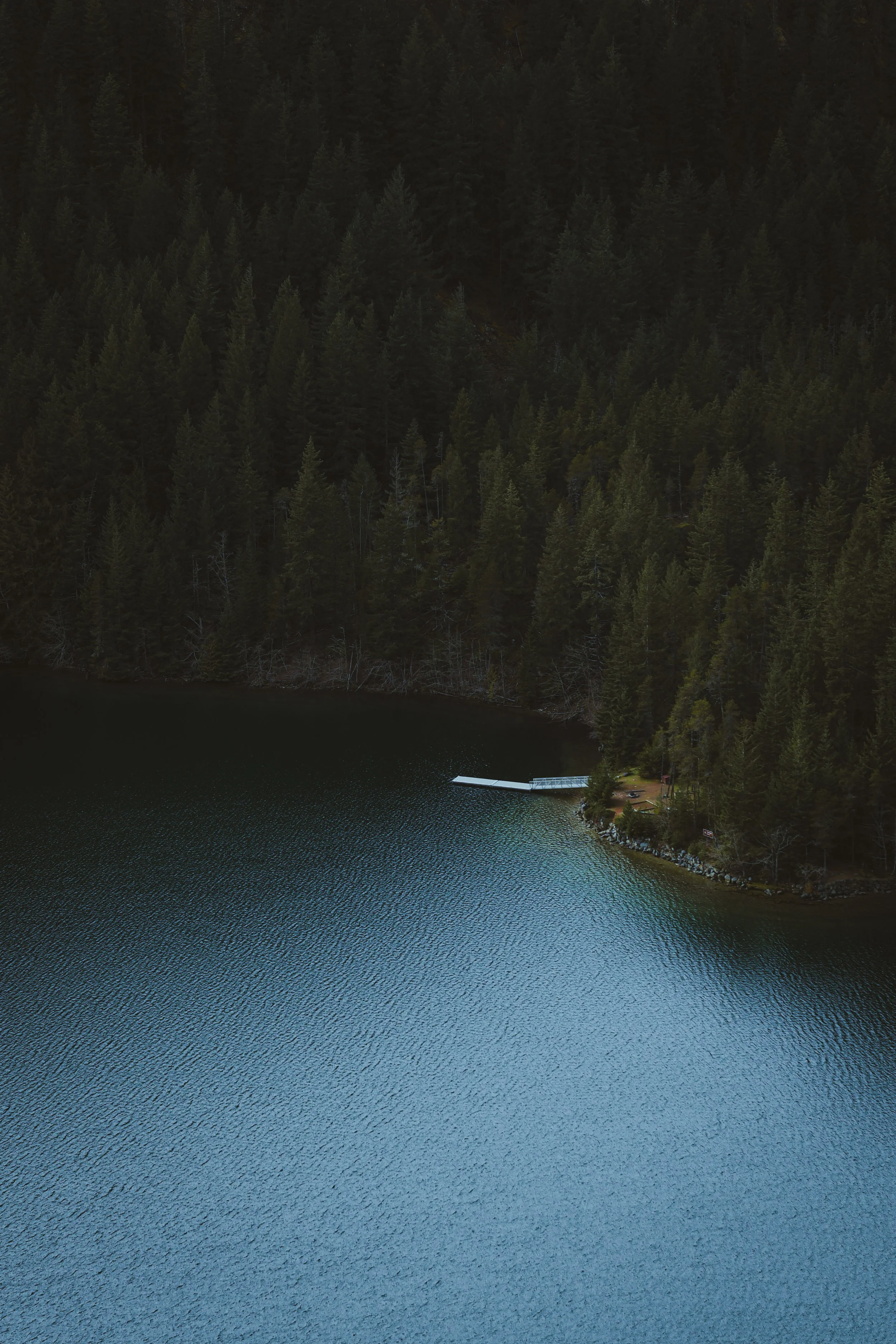 Aerial view of a dense forest with tall pine trees surrounding a dark Diablo Lake, with a small dock and boats at the water's edge.
