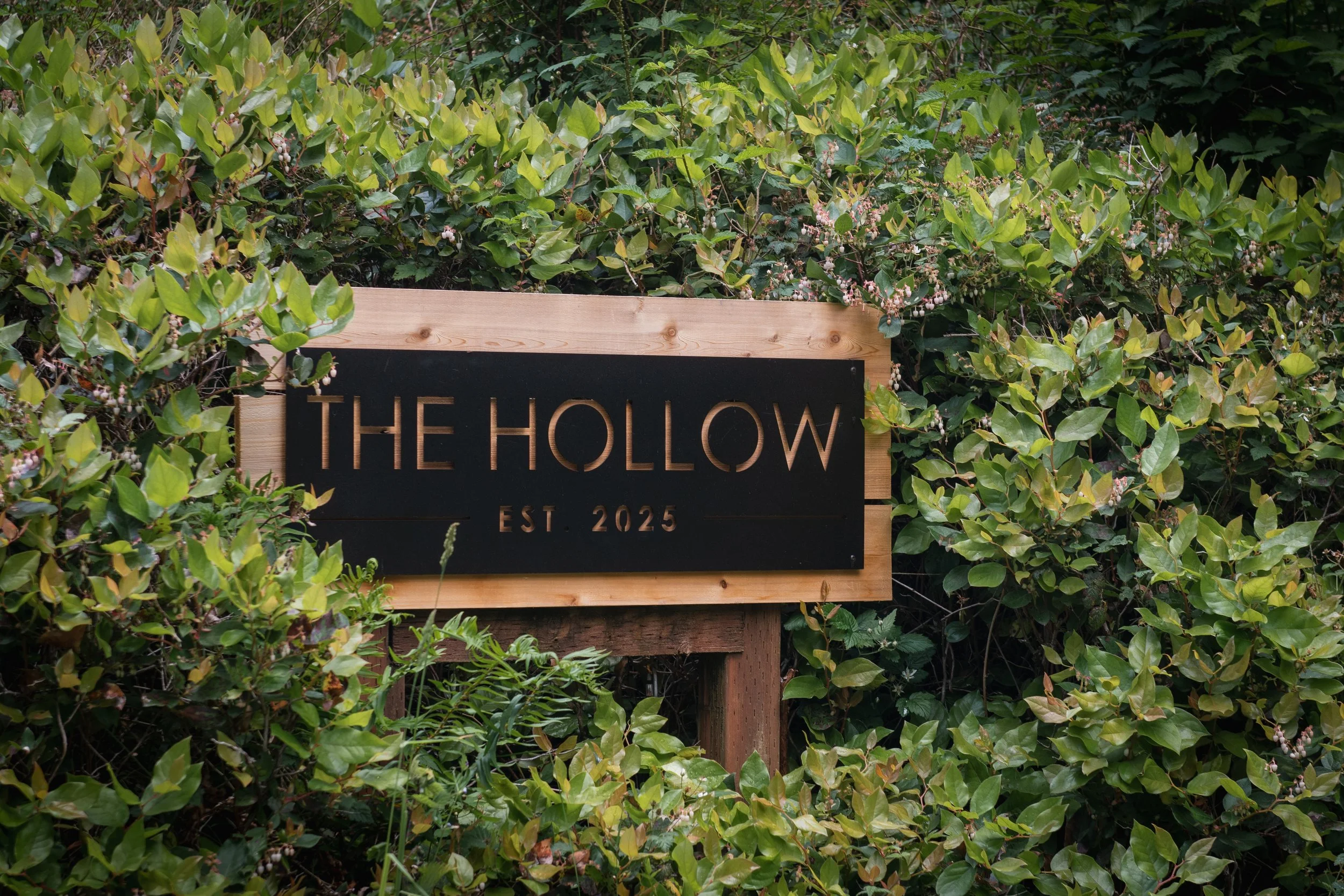 Hollow14.jpg